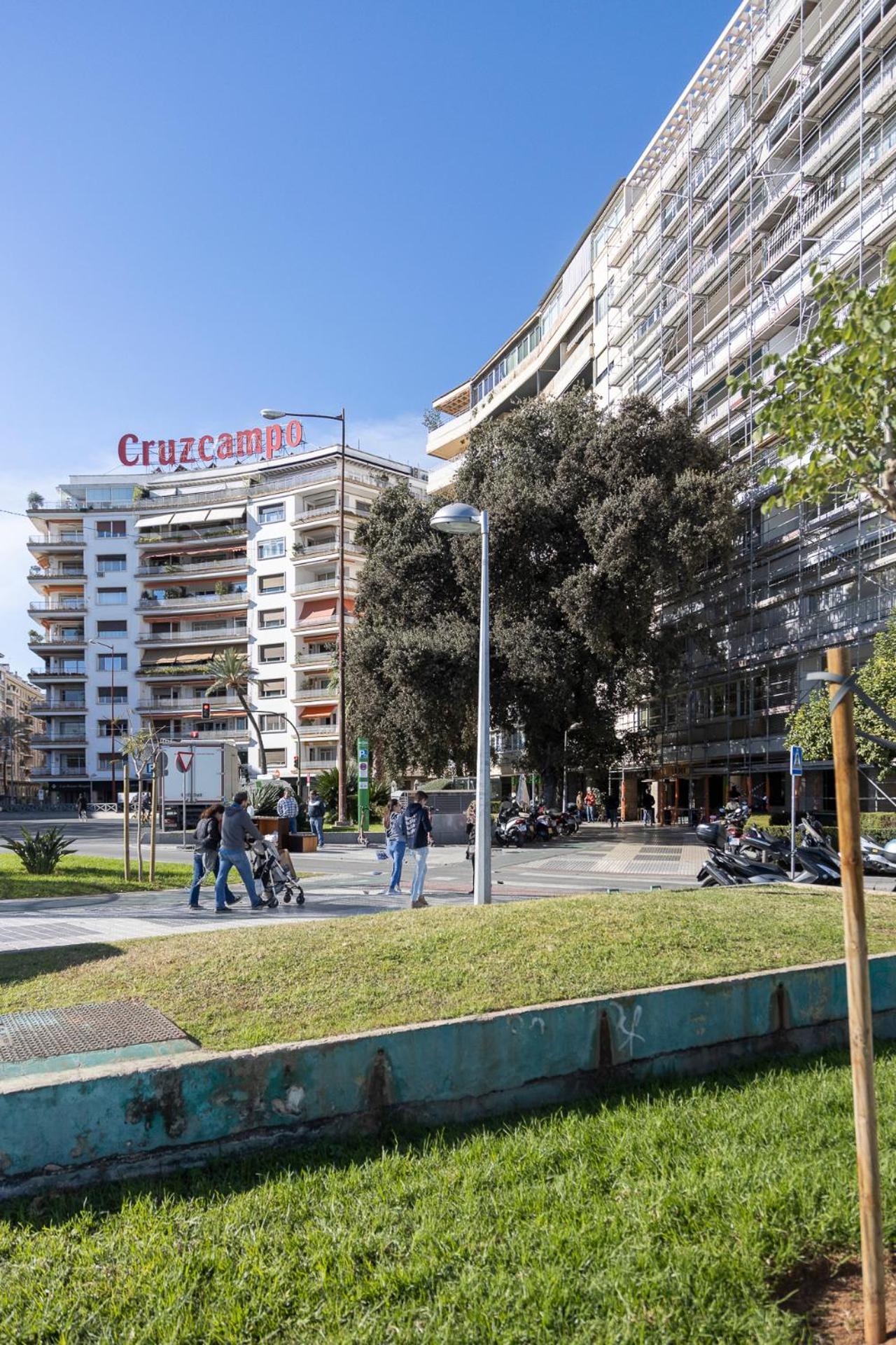 Pureza dreams de Sevilla Oasis en Triana