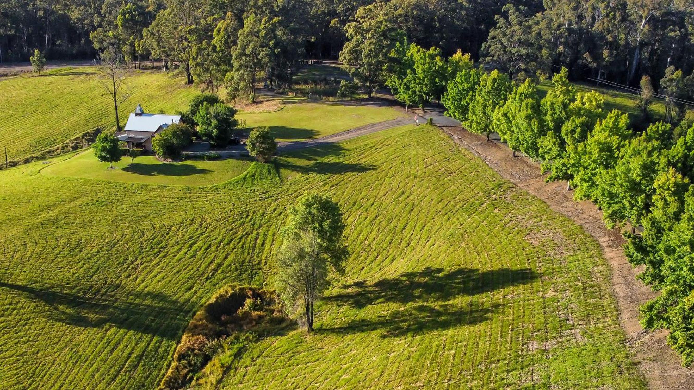 Clarendon Forest Retreat