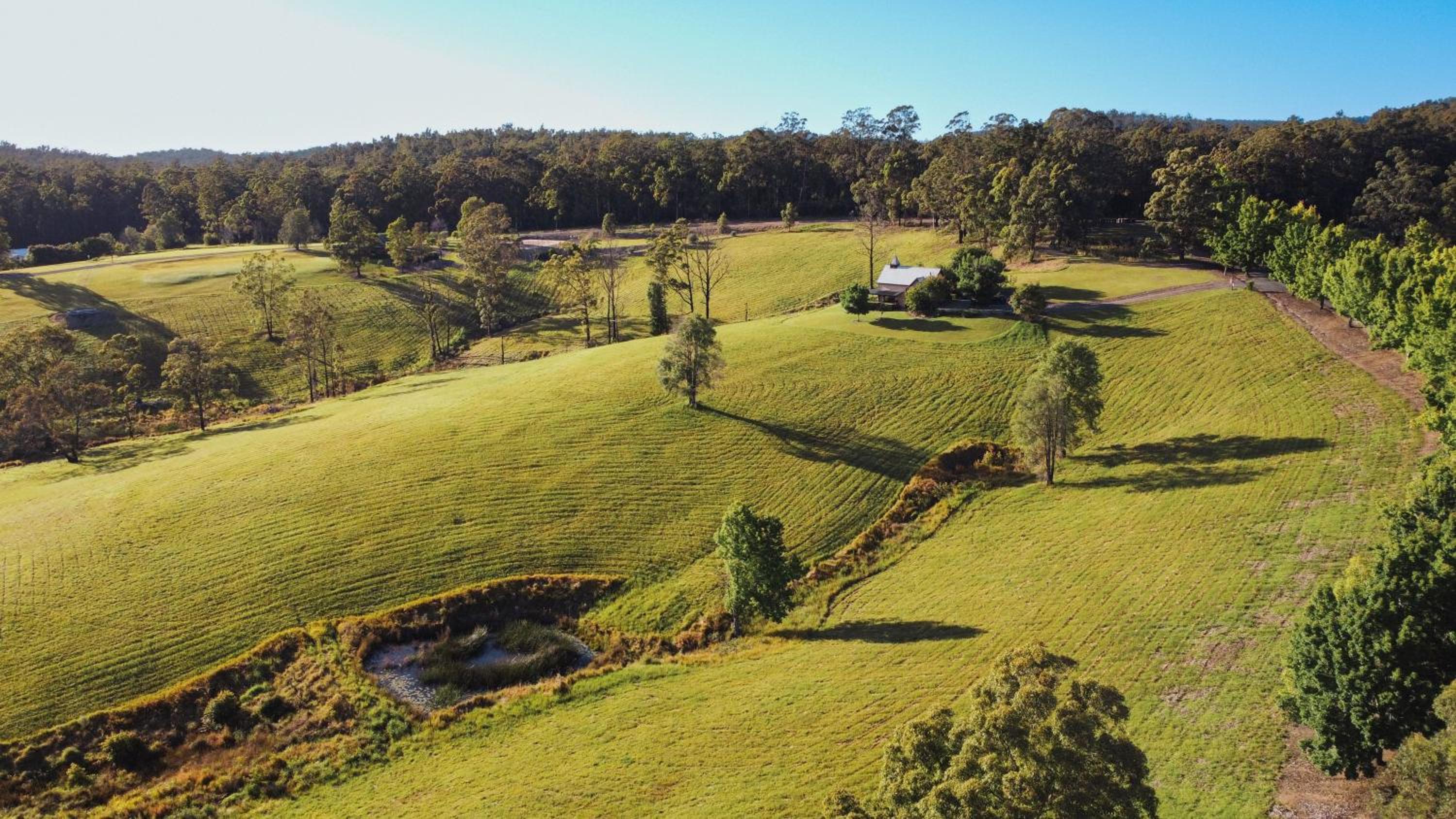 Clarendon Forest Retreat