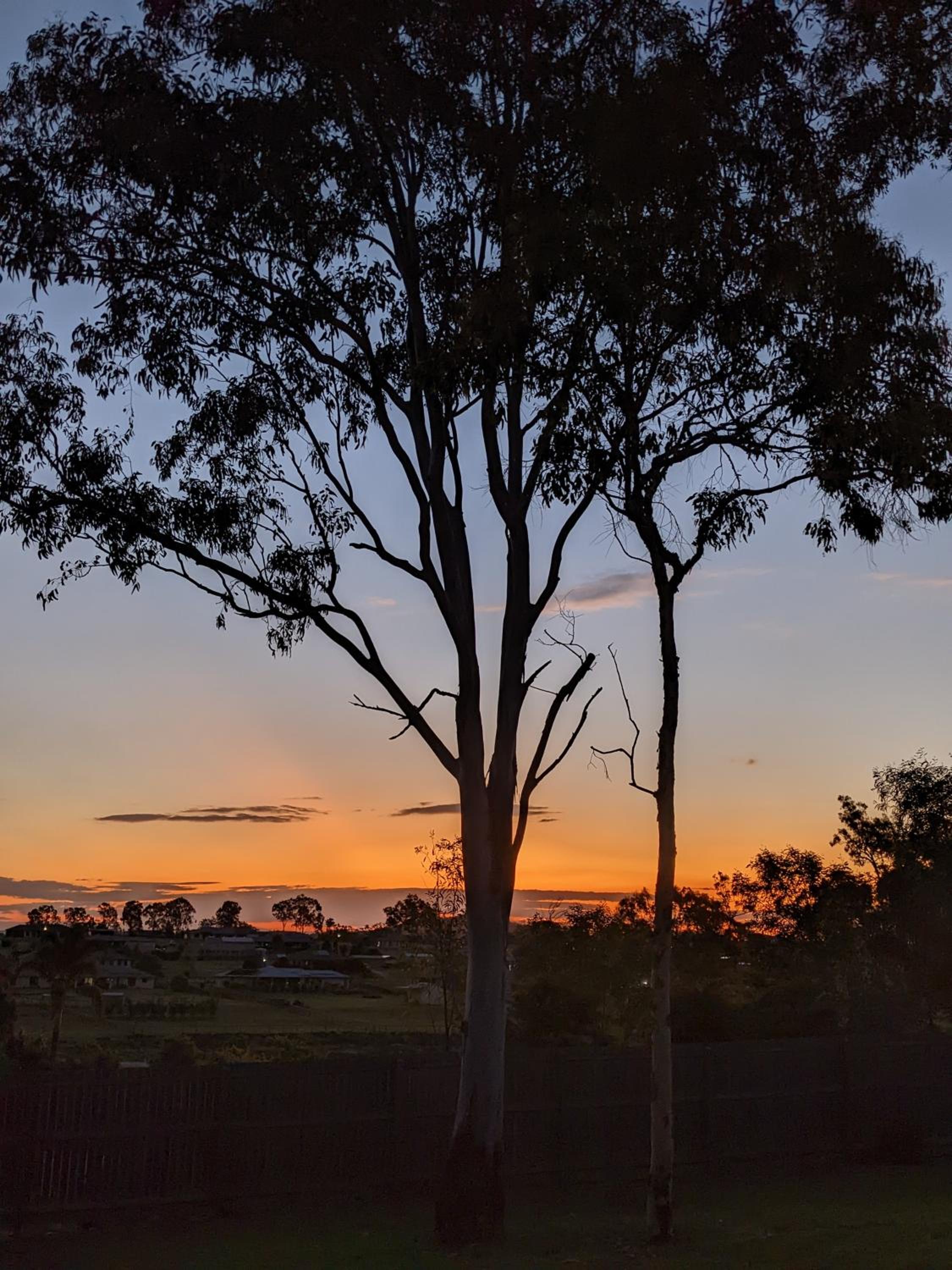 Scenic Sunsets@Tamborine
