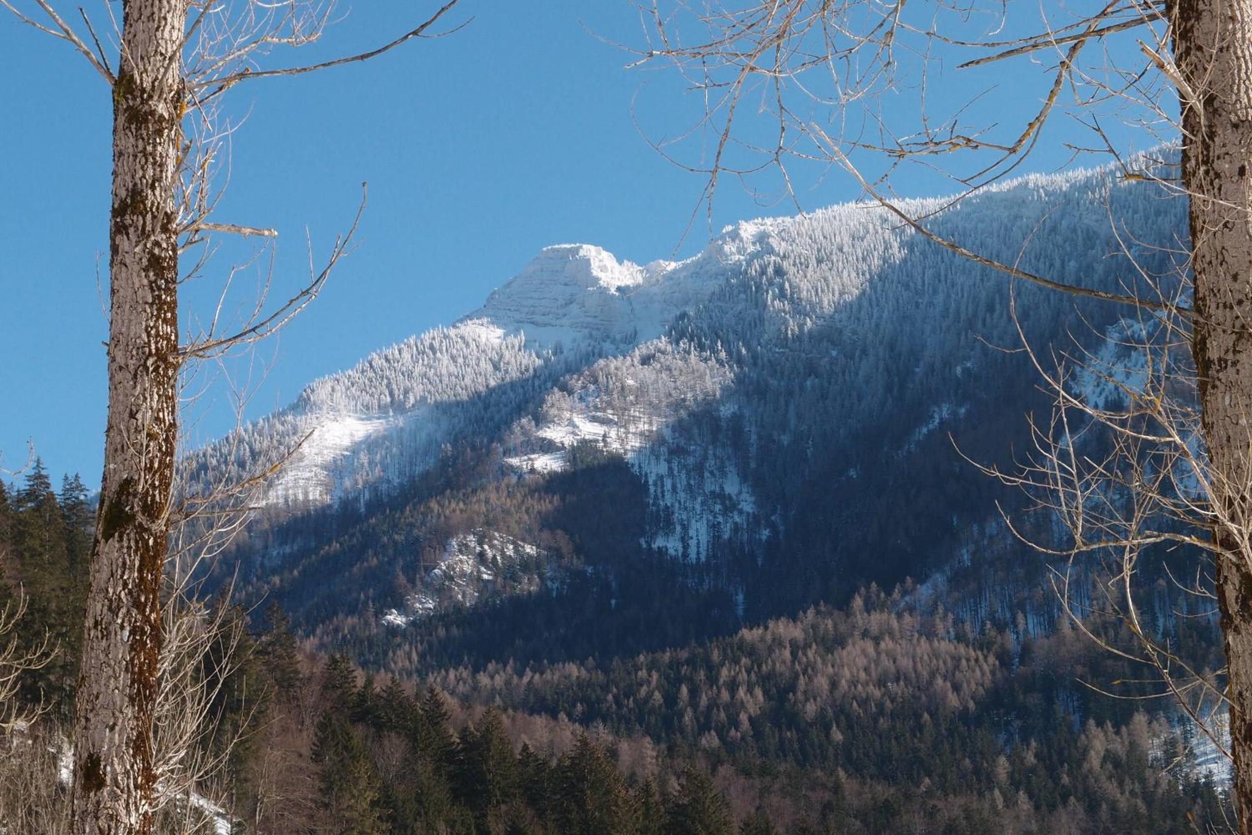 Landhotel Zellerhof