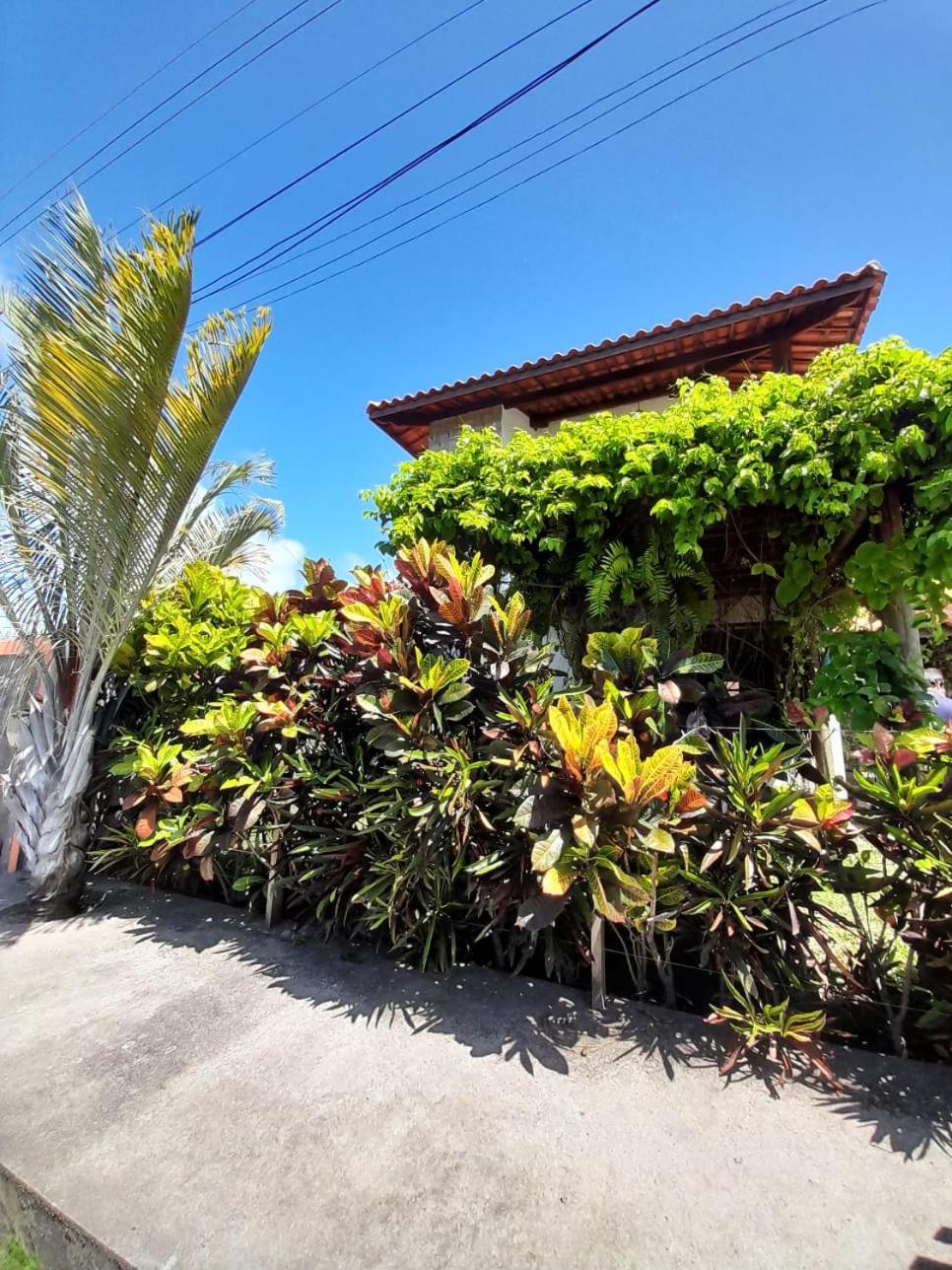 Casa Vila Verde