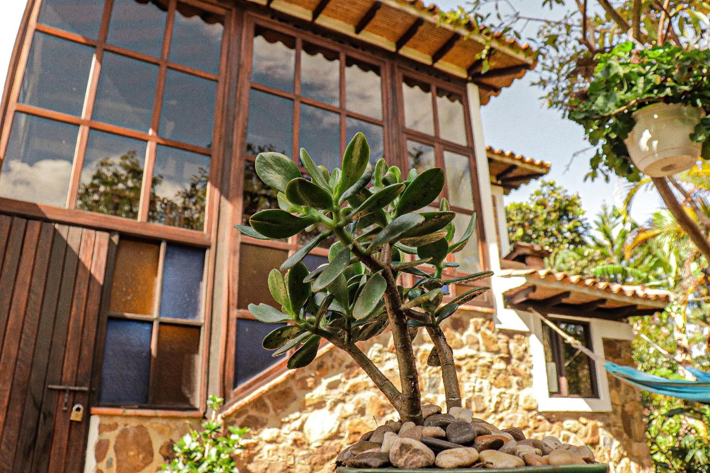 Casa de las Palmas