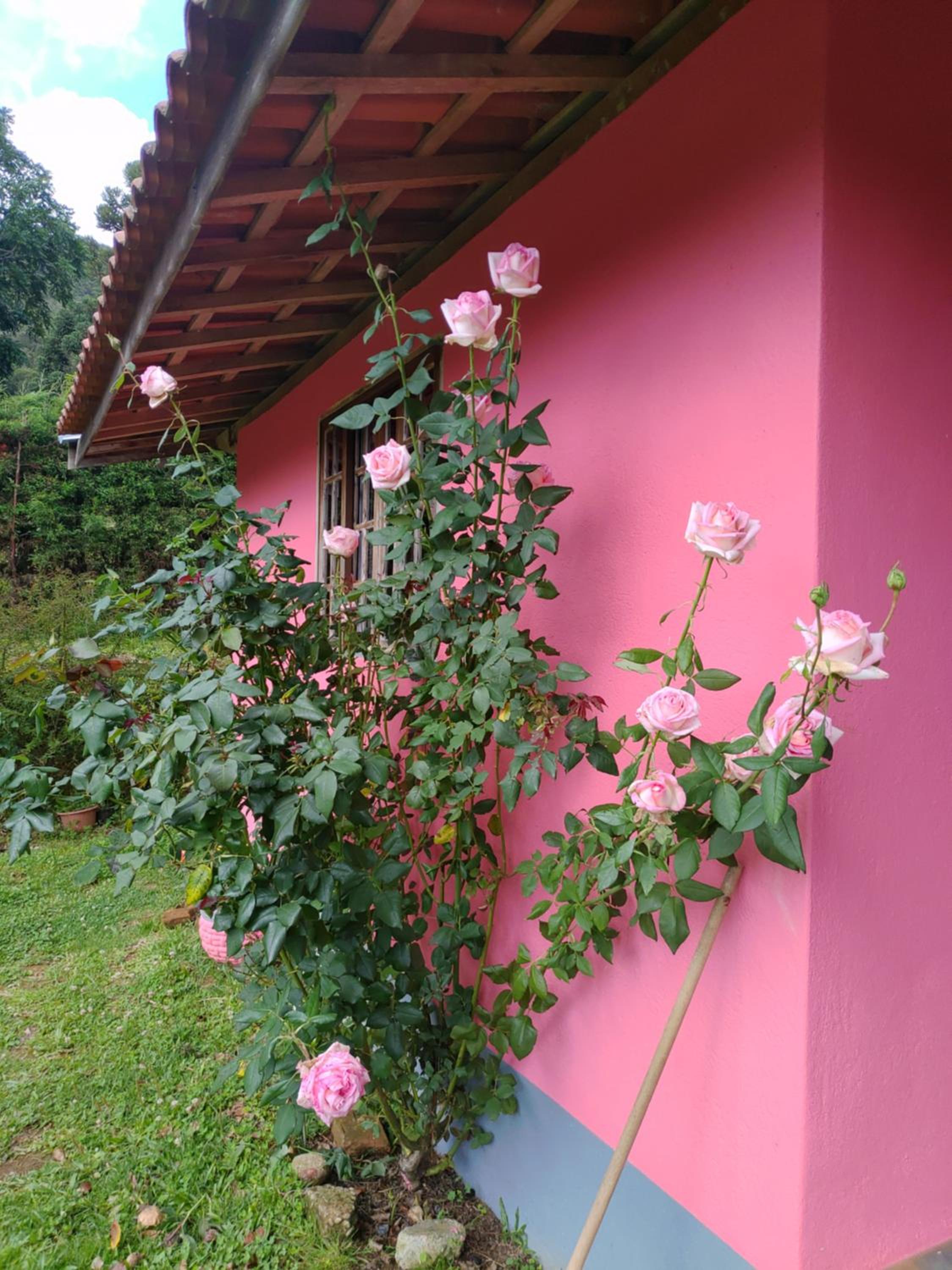Casa Aconchegante Na Mantiqueira