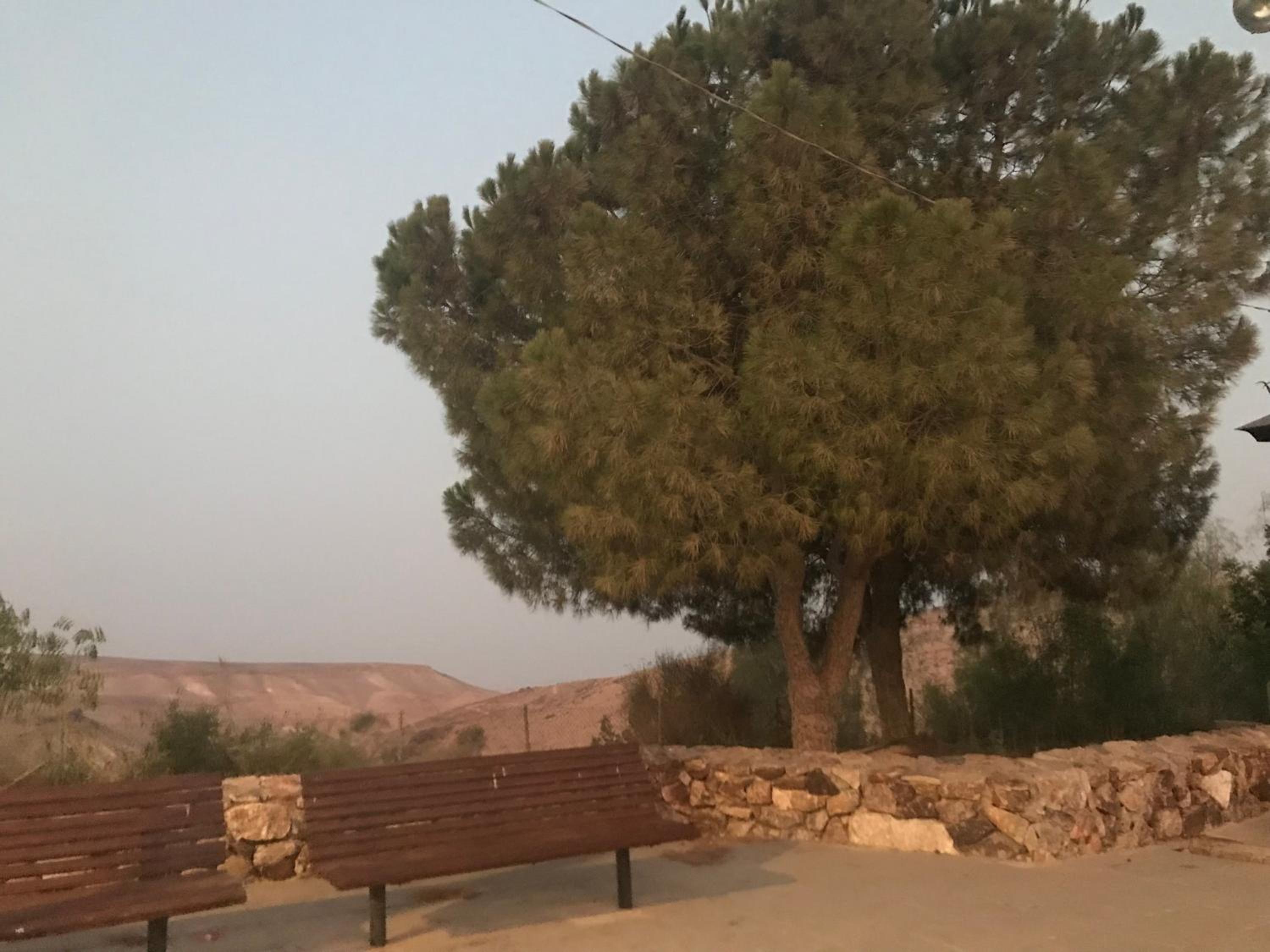 סוויטות עין השמש eye sun, photo 17