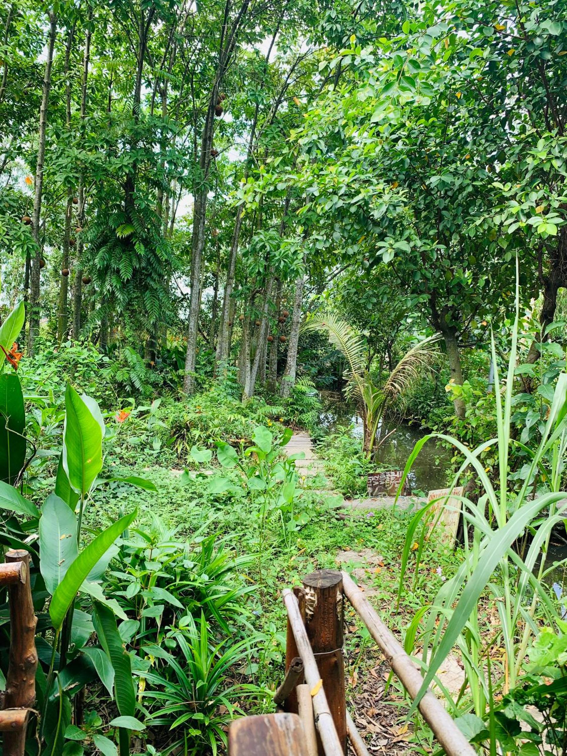 Saigon Garden Homestay