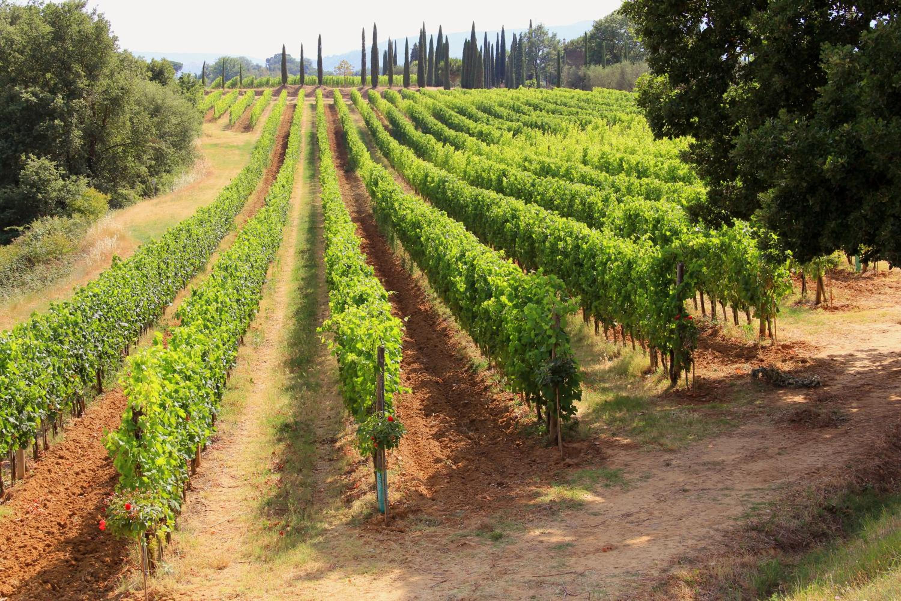 Agriturismo La Piana