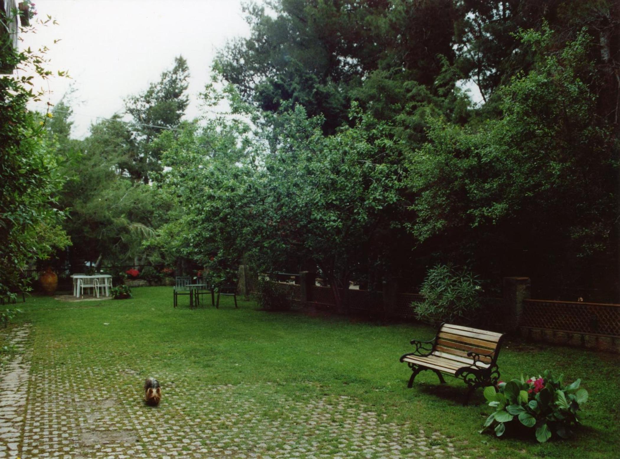 Photo 12