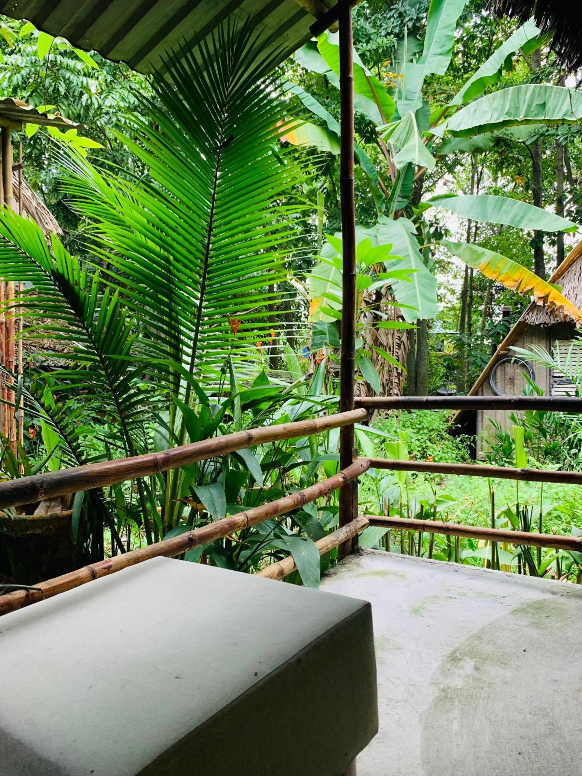 Saigon Garden Homestay
