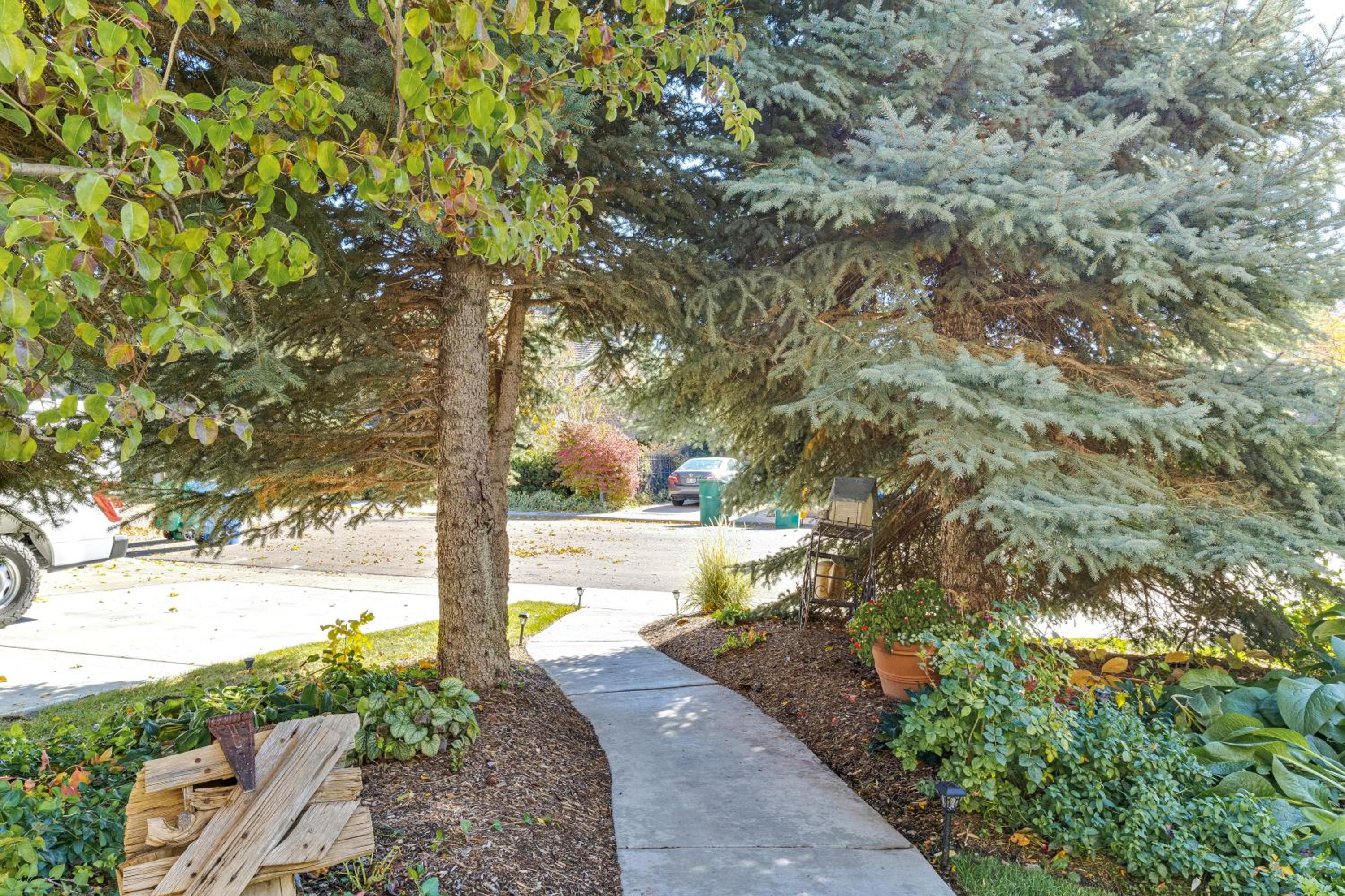 Heart of Orem Basement 3 bedroom Apartment w/ Waffles. view 3