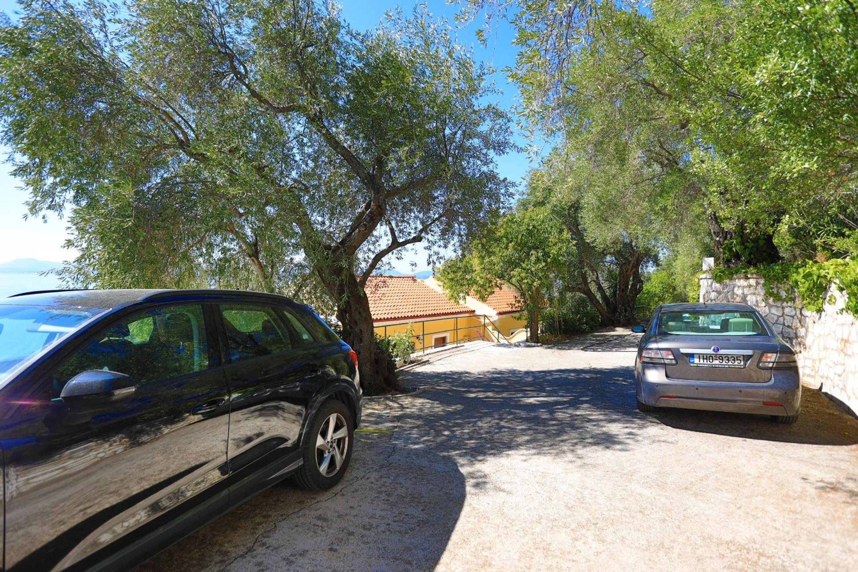Photo 46