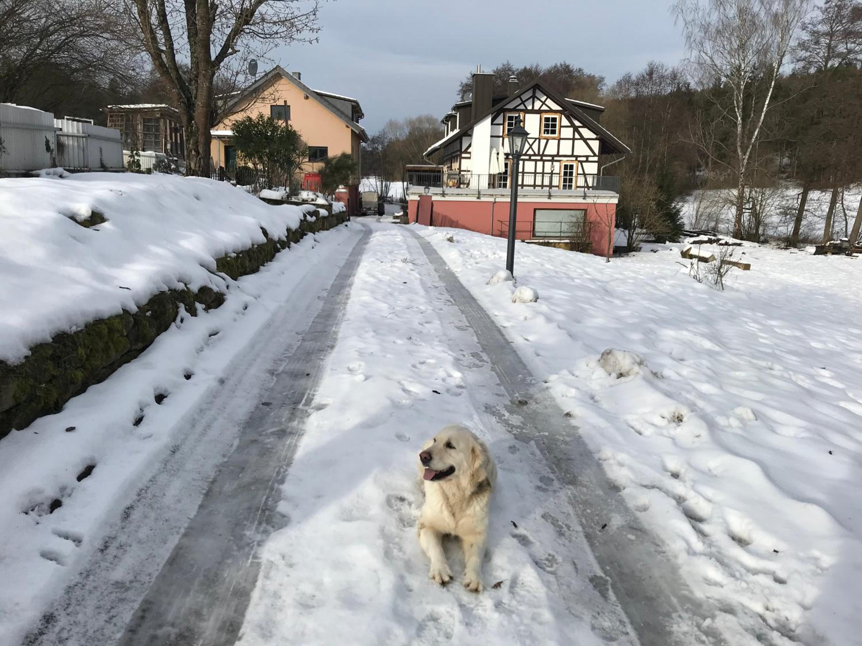 Ferienwohnungen Grundmühle