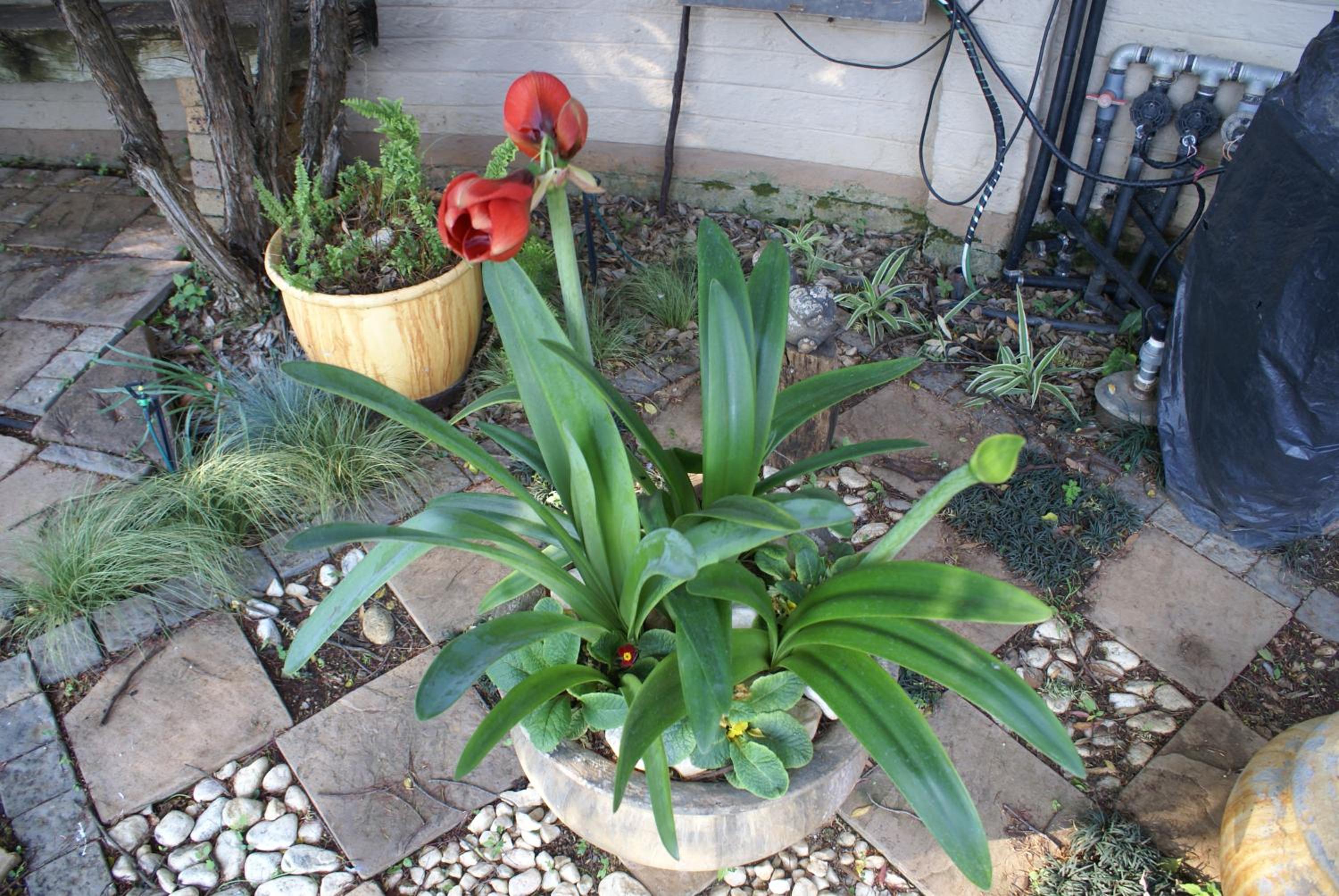 Photo 22
