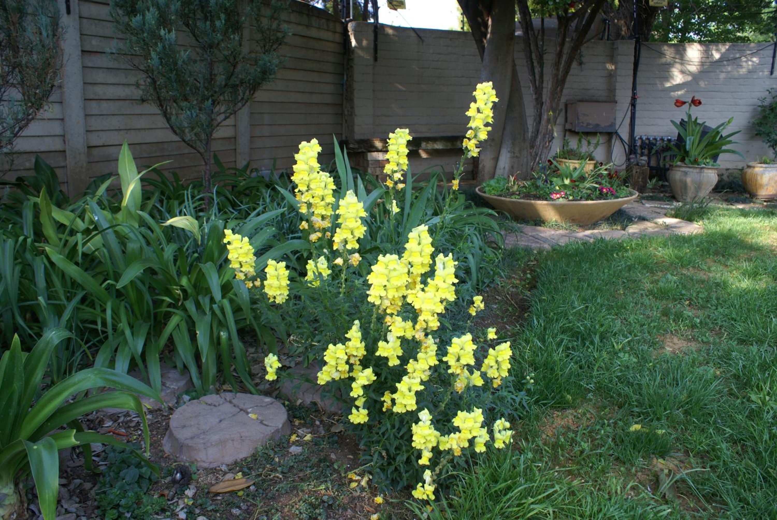 Photo 23