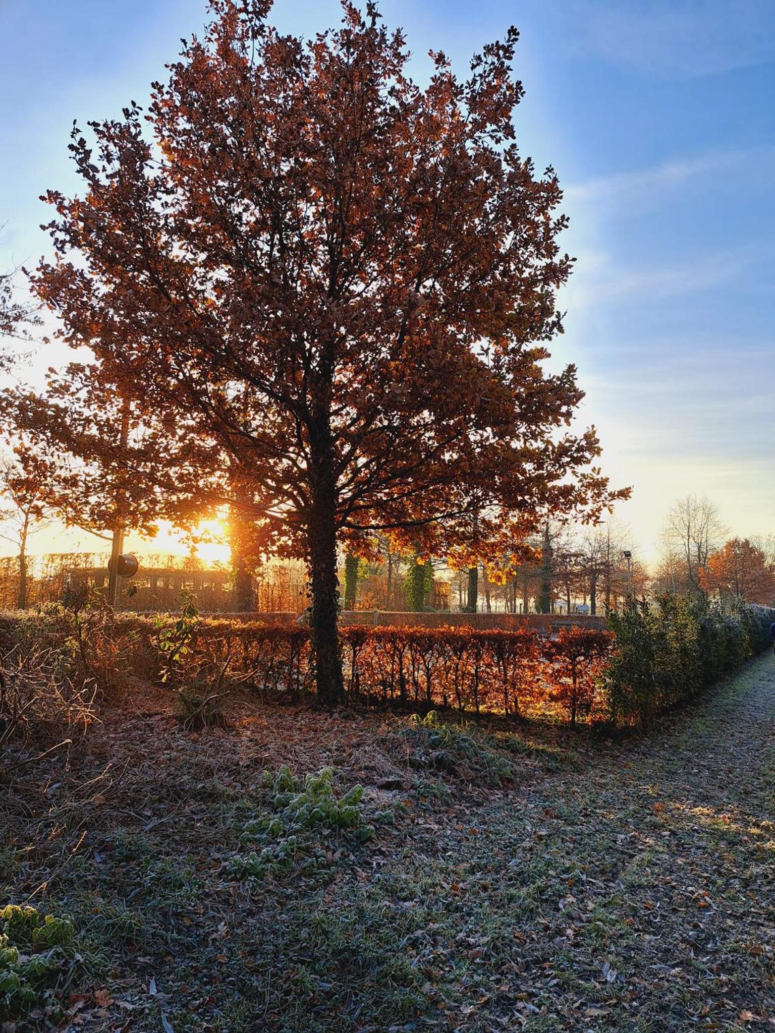 Domein Den Buiten Bed And Breakfast DnD
