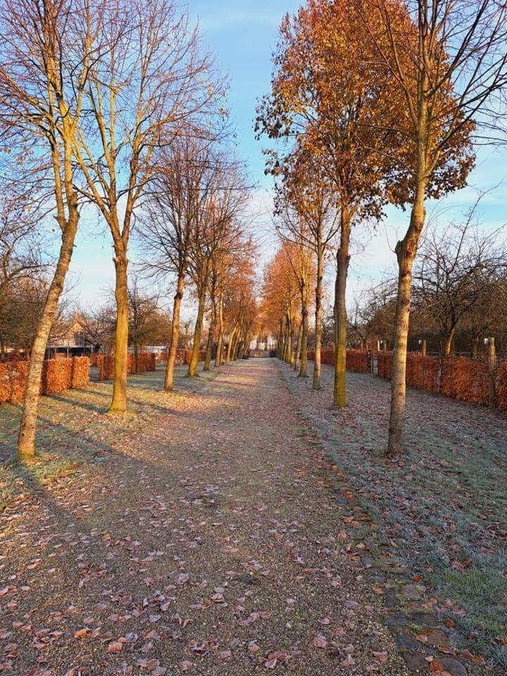 Domein Den Buiten Bed And Breakfast DnD