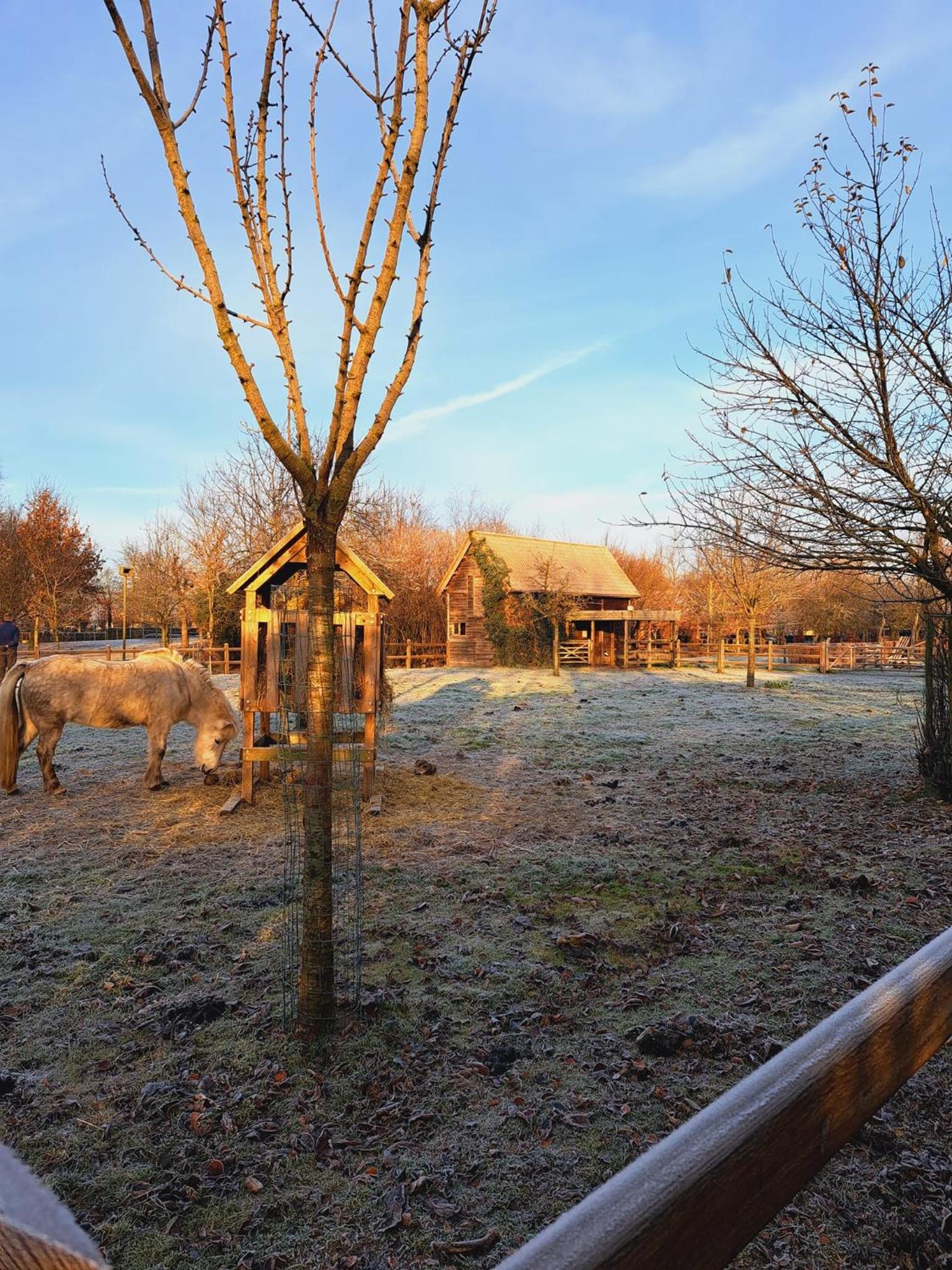 Domein Den Buiten Bed And Breakfast DnD