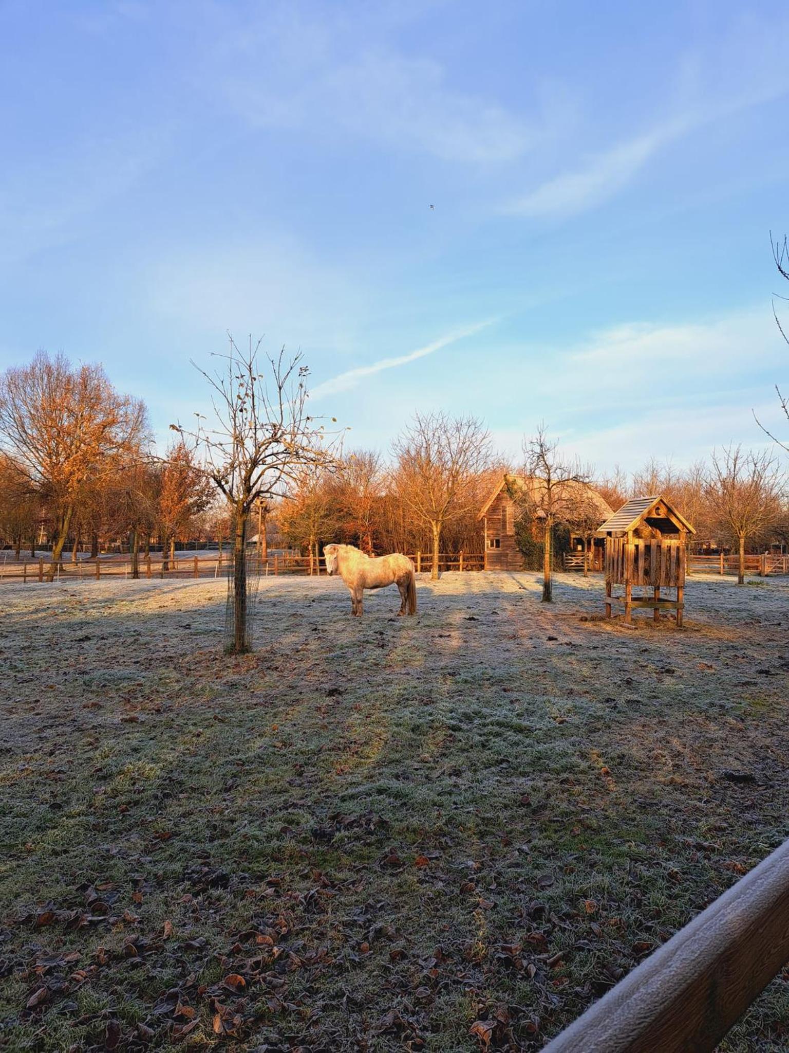 Domein Den Buiten Bed And Breakfast DnD