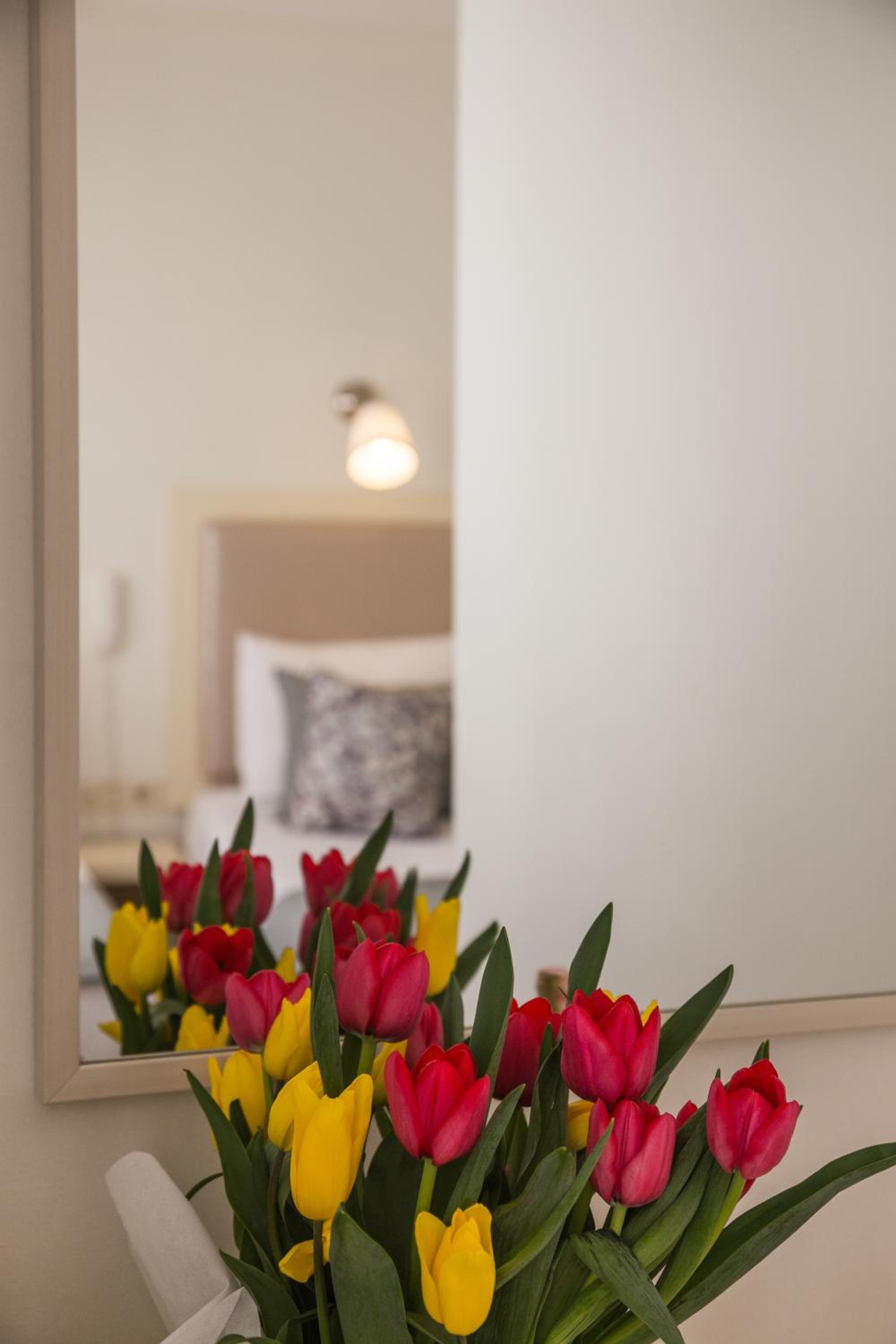 Tulpan Evi - Image 24