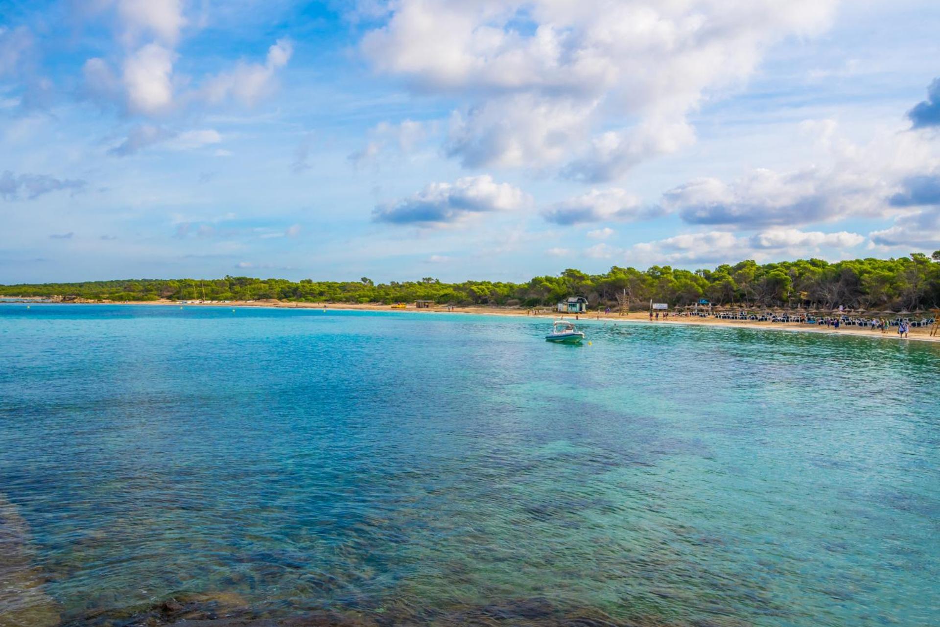 Ideal Property Mallorca - Tobalu