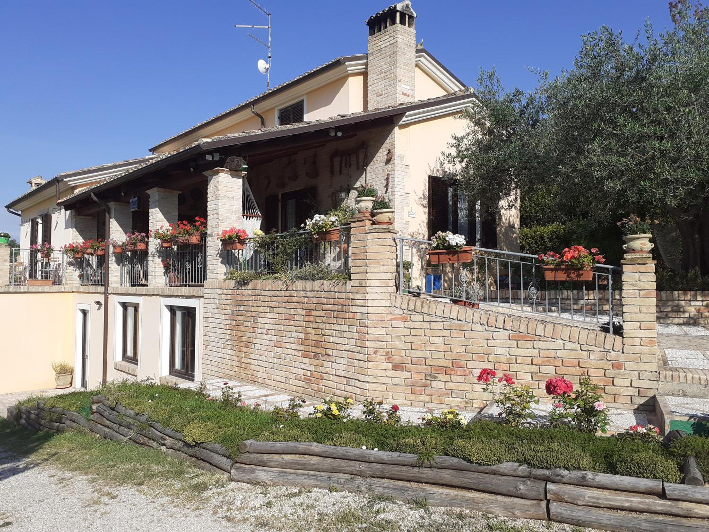 VILLETTA TRA GLI ULIVI photo 1