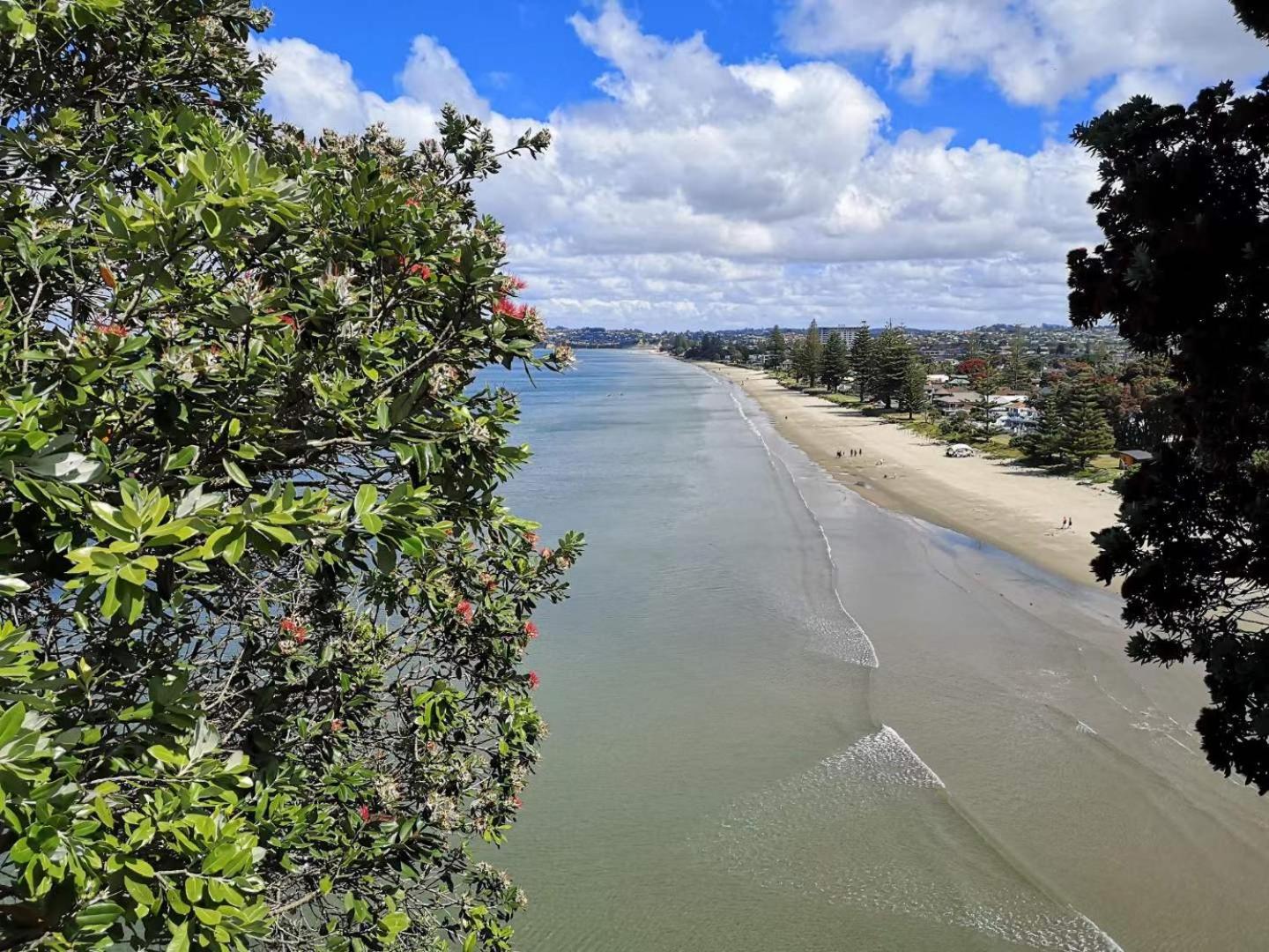 Orewa Lovely Cozy Home view 3