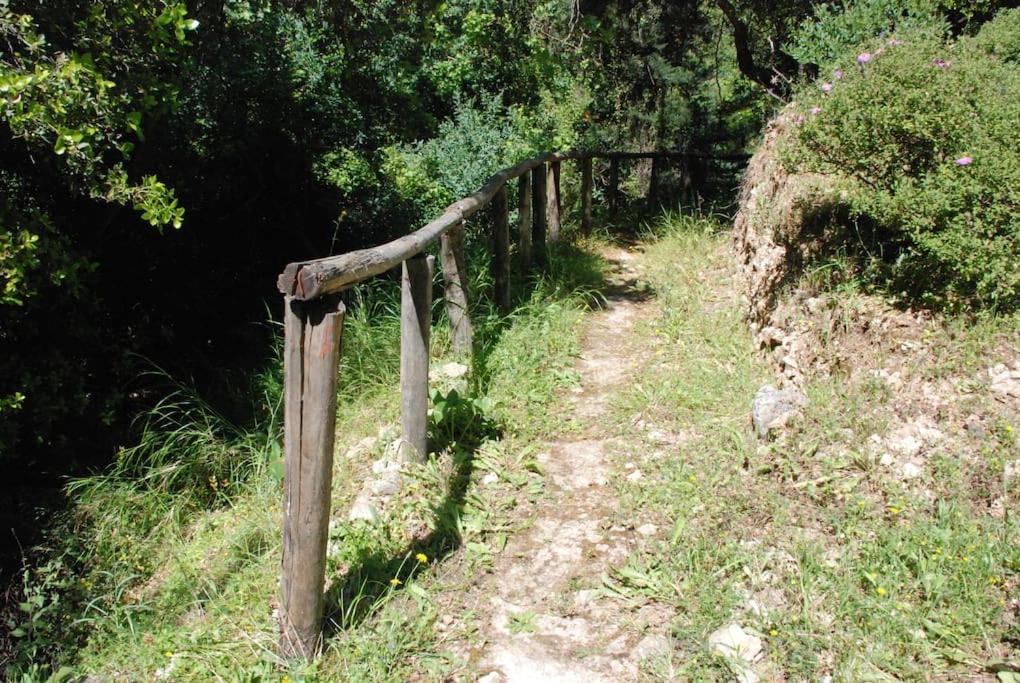 Photo 43