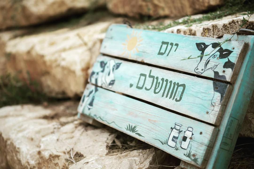 חלון לגלבוע צימר בוטיק בעמק המעיינות