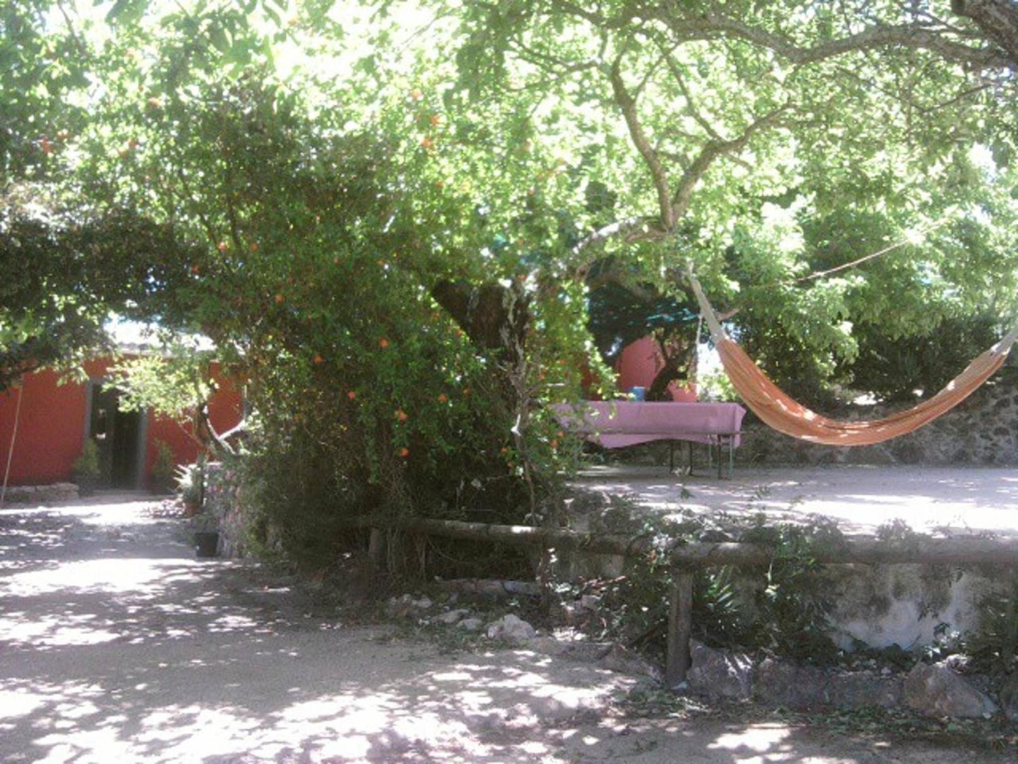 Casa Bi Rosario - Quinta Amoreira view 4