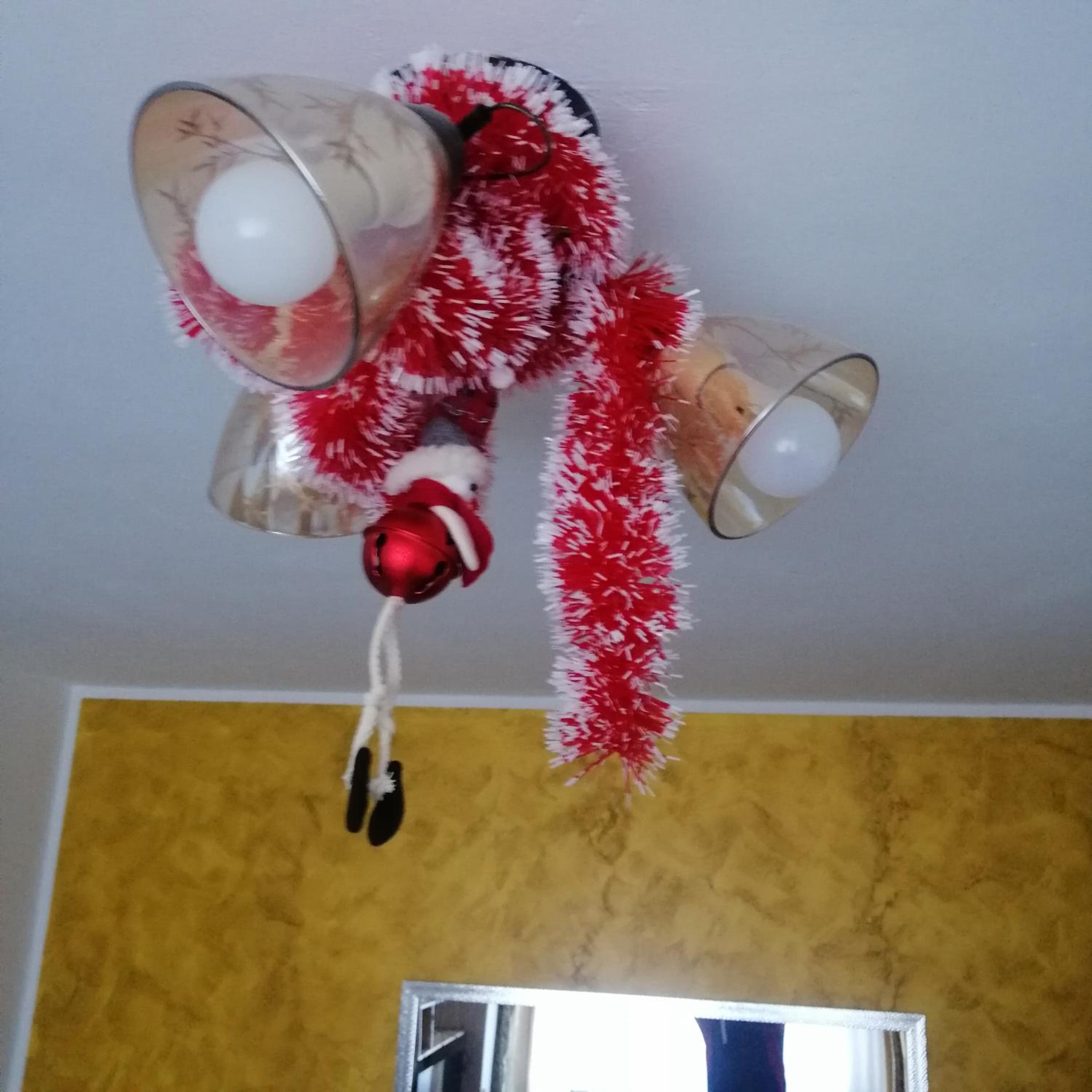 Photo 24