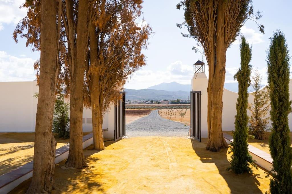 Cortijo El Solano