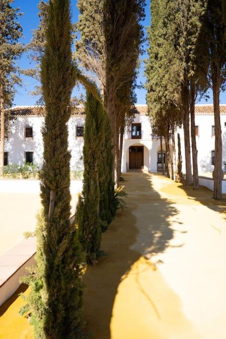 Cortijo El Solano
