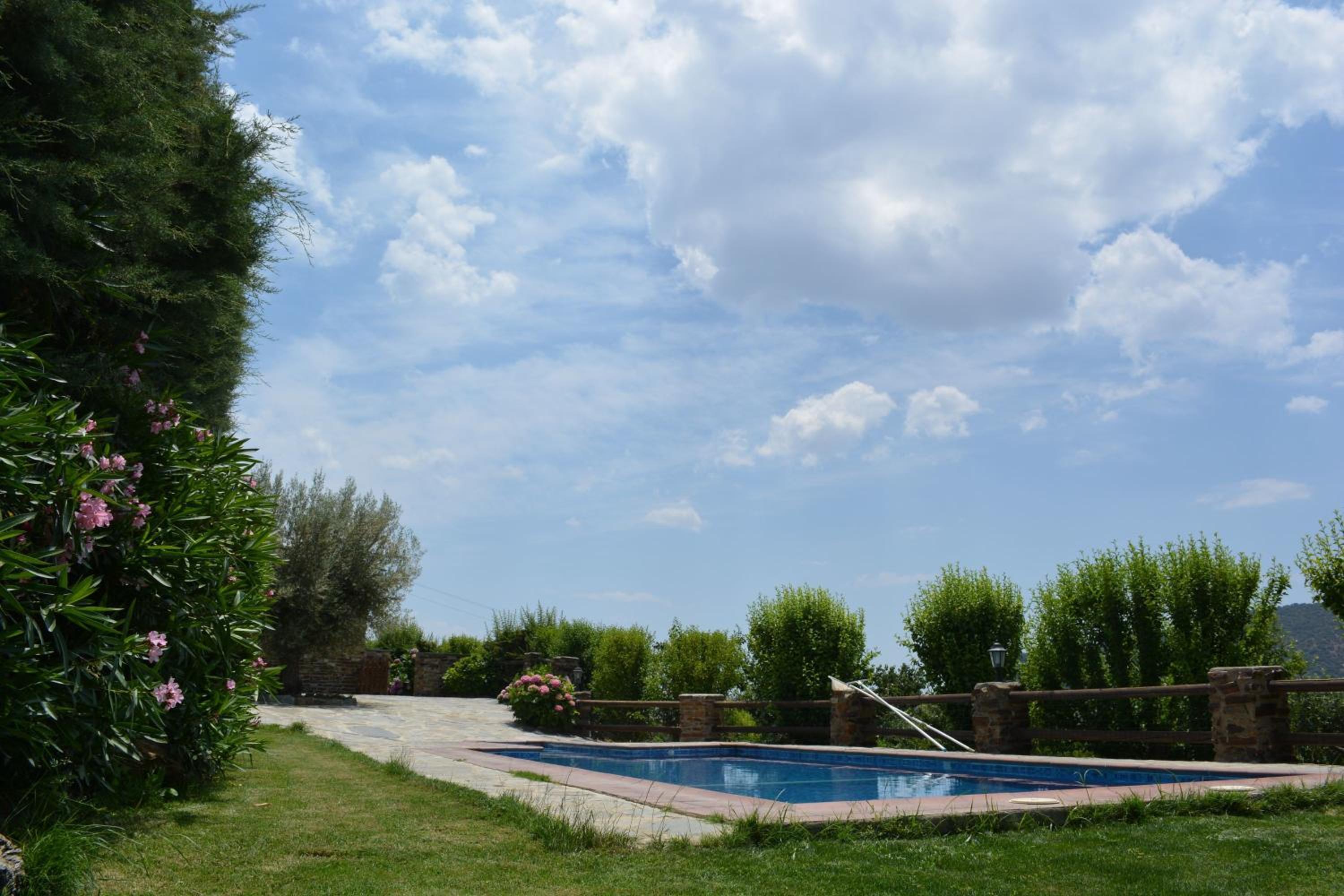 Photo 26