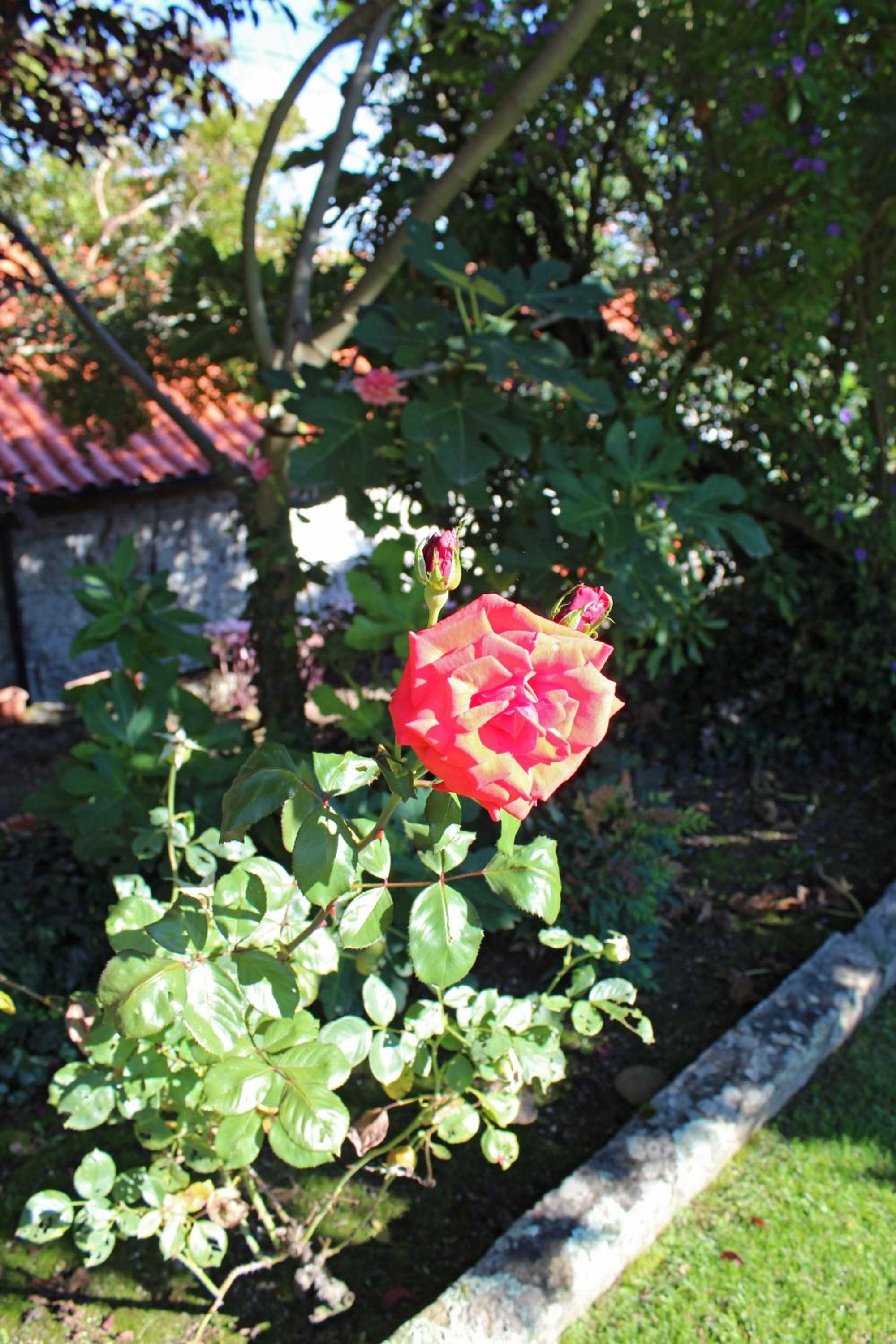 Photo 68