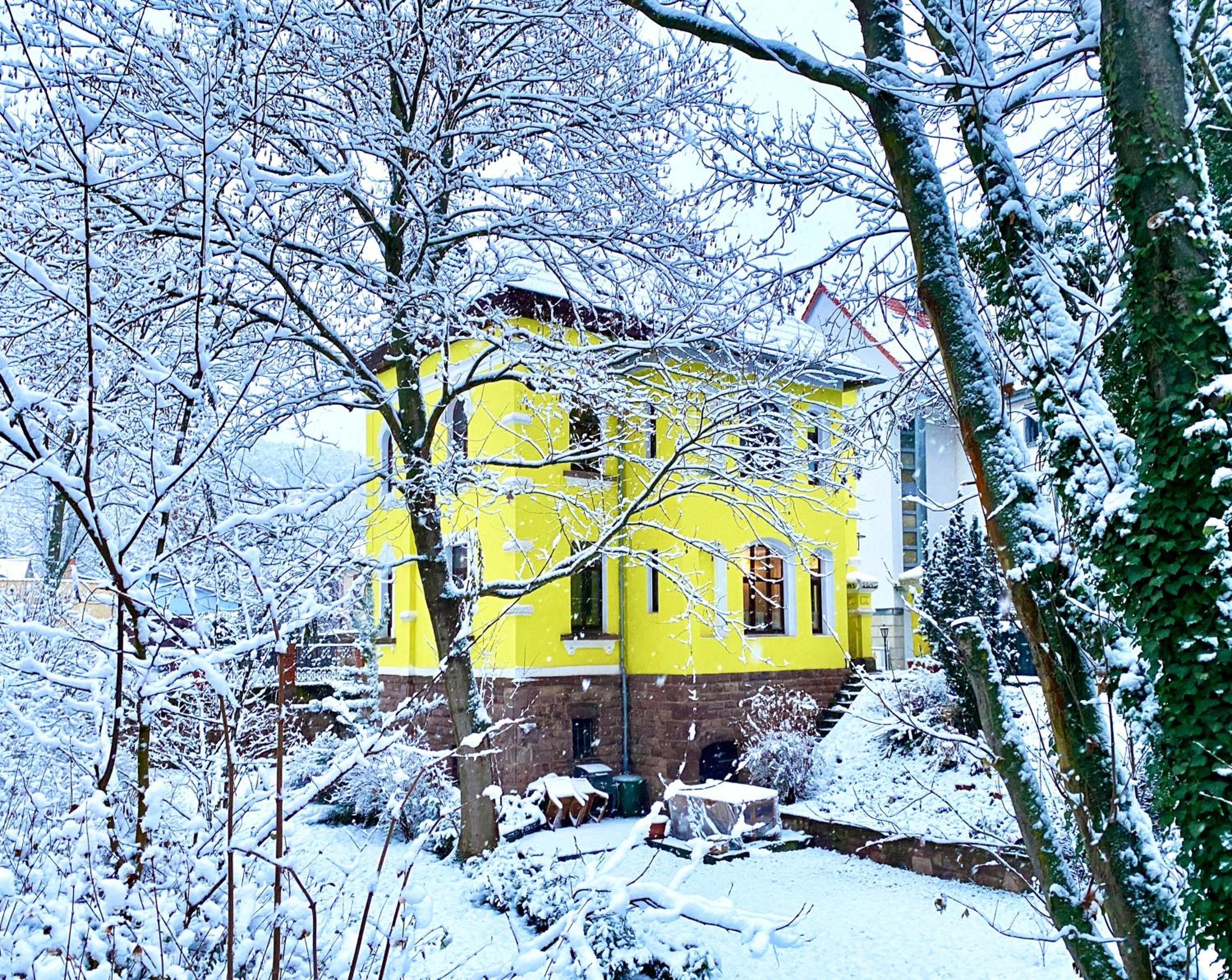 Zitronenhaus