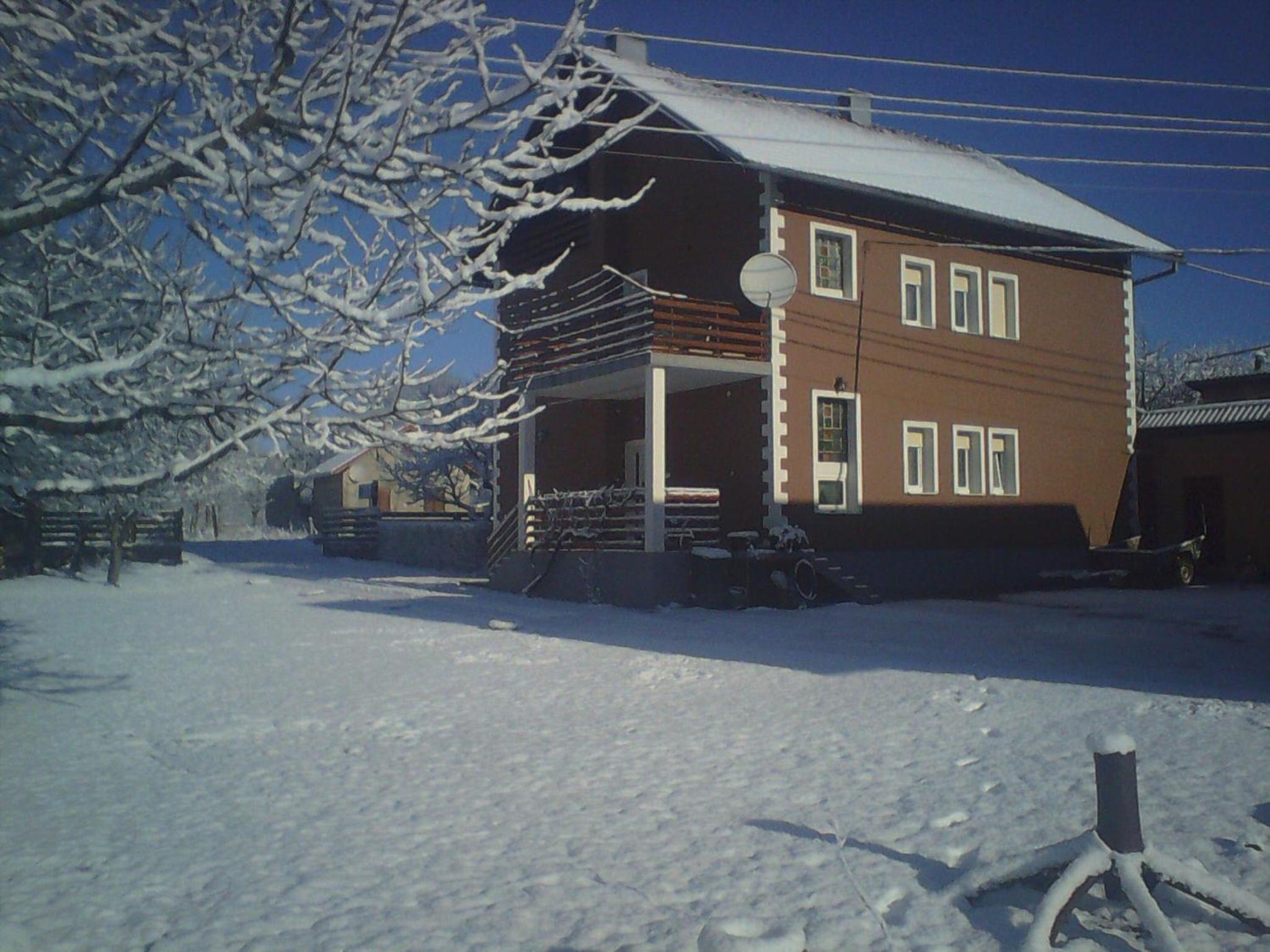 Photo 50
