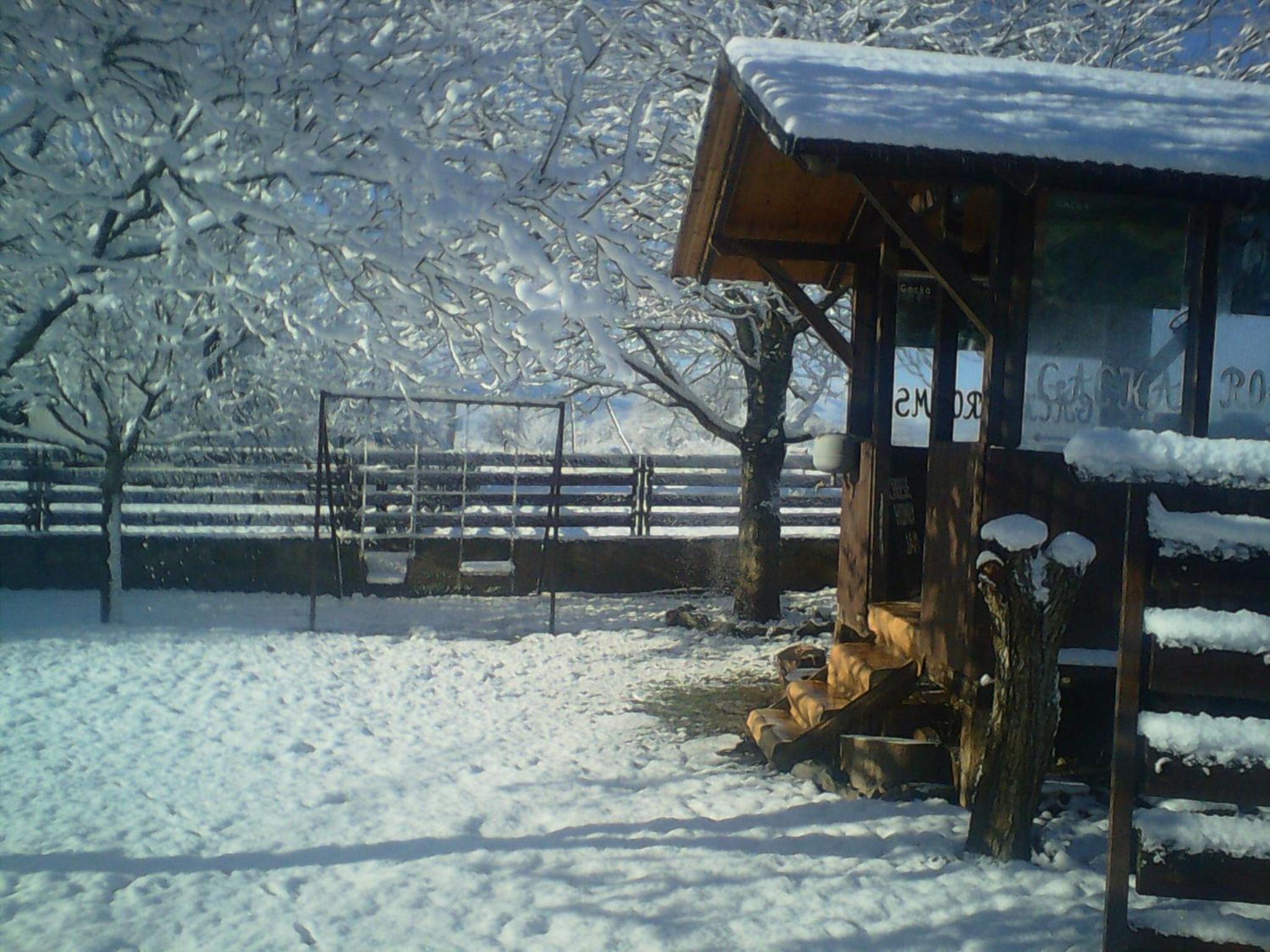 Photo 48