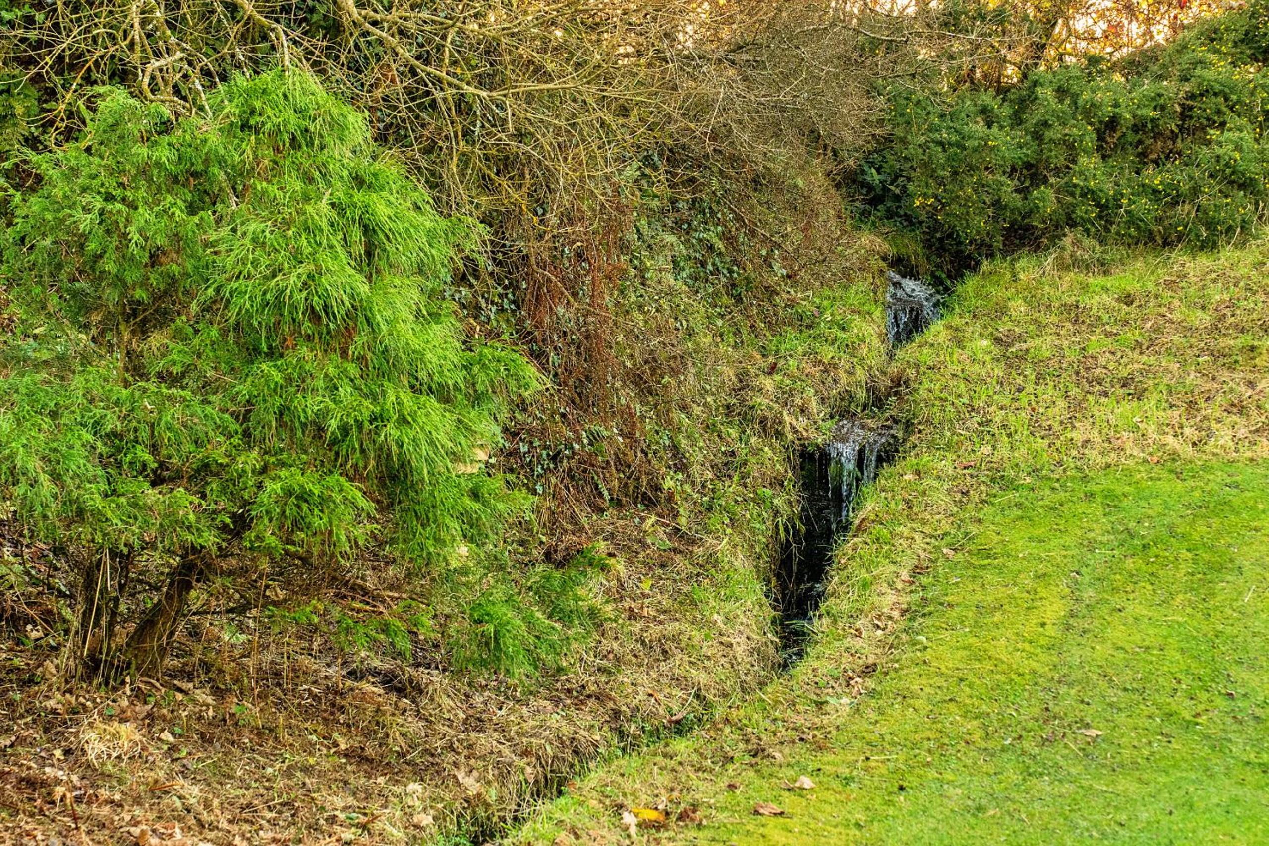 Photo 13