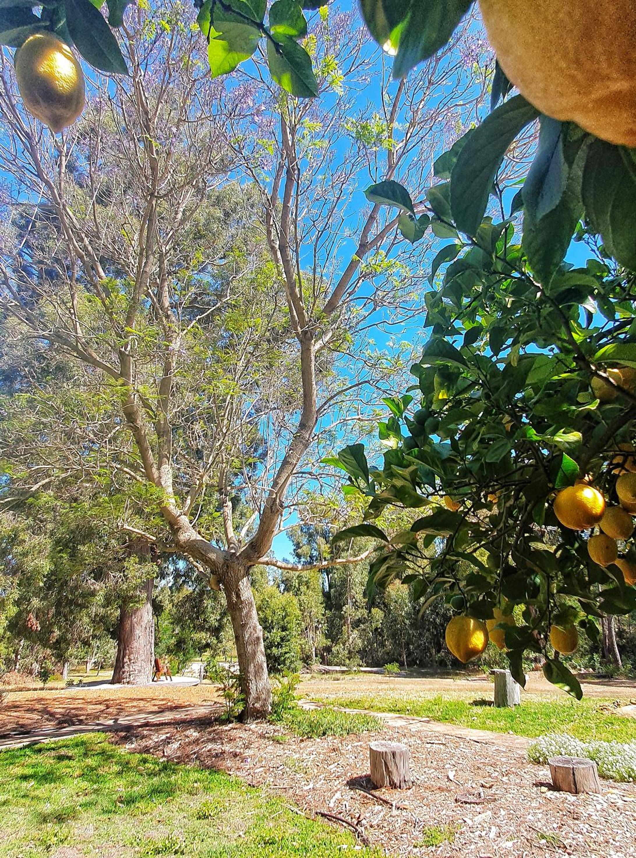 Forest Trails House, Dwellingup