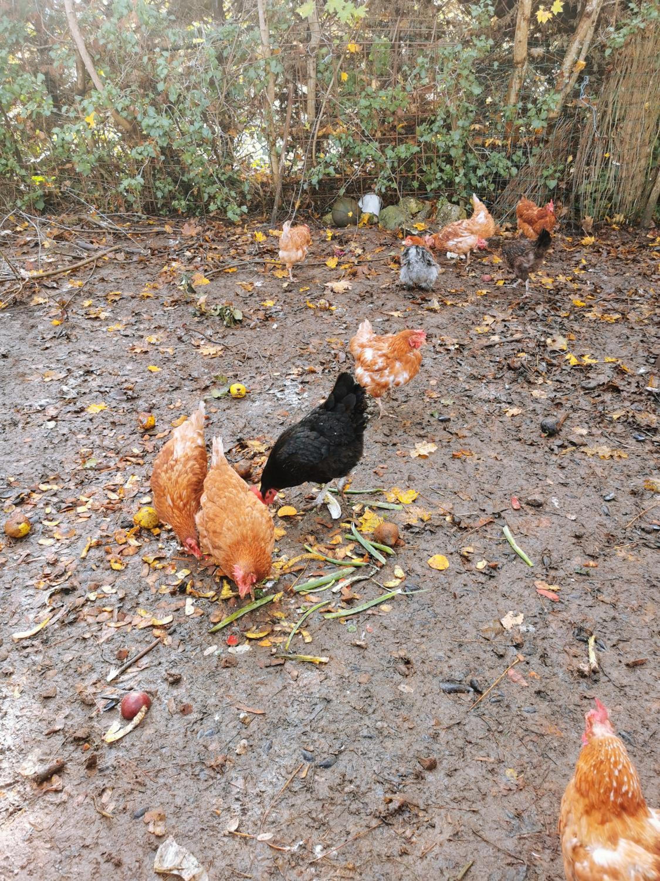 La Grange de Cablanc