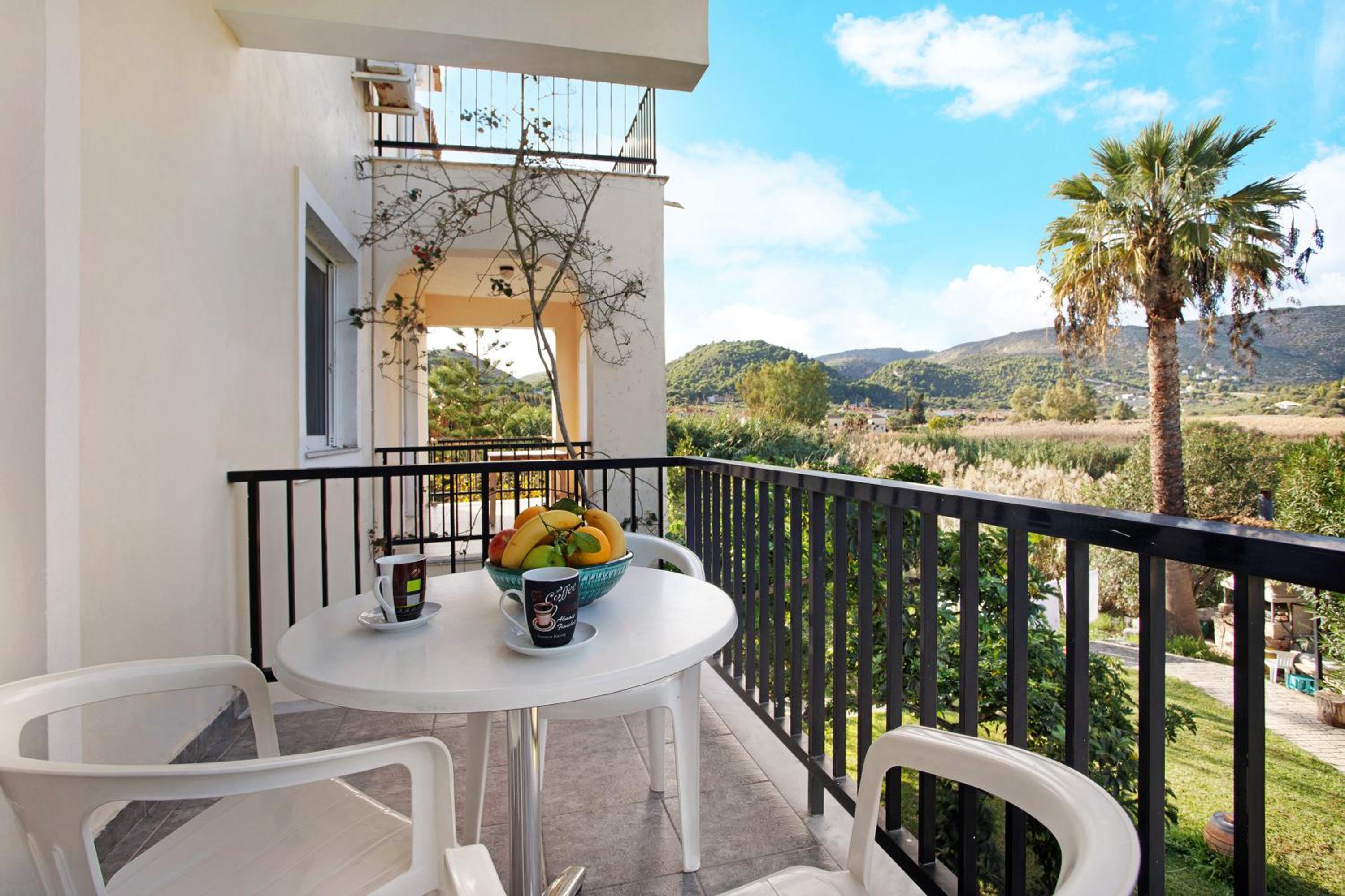 Dolphin Studio 7 photo 5