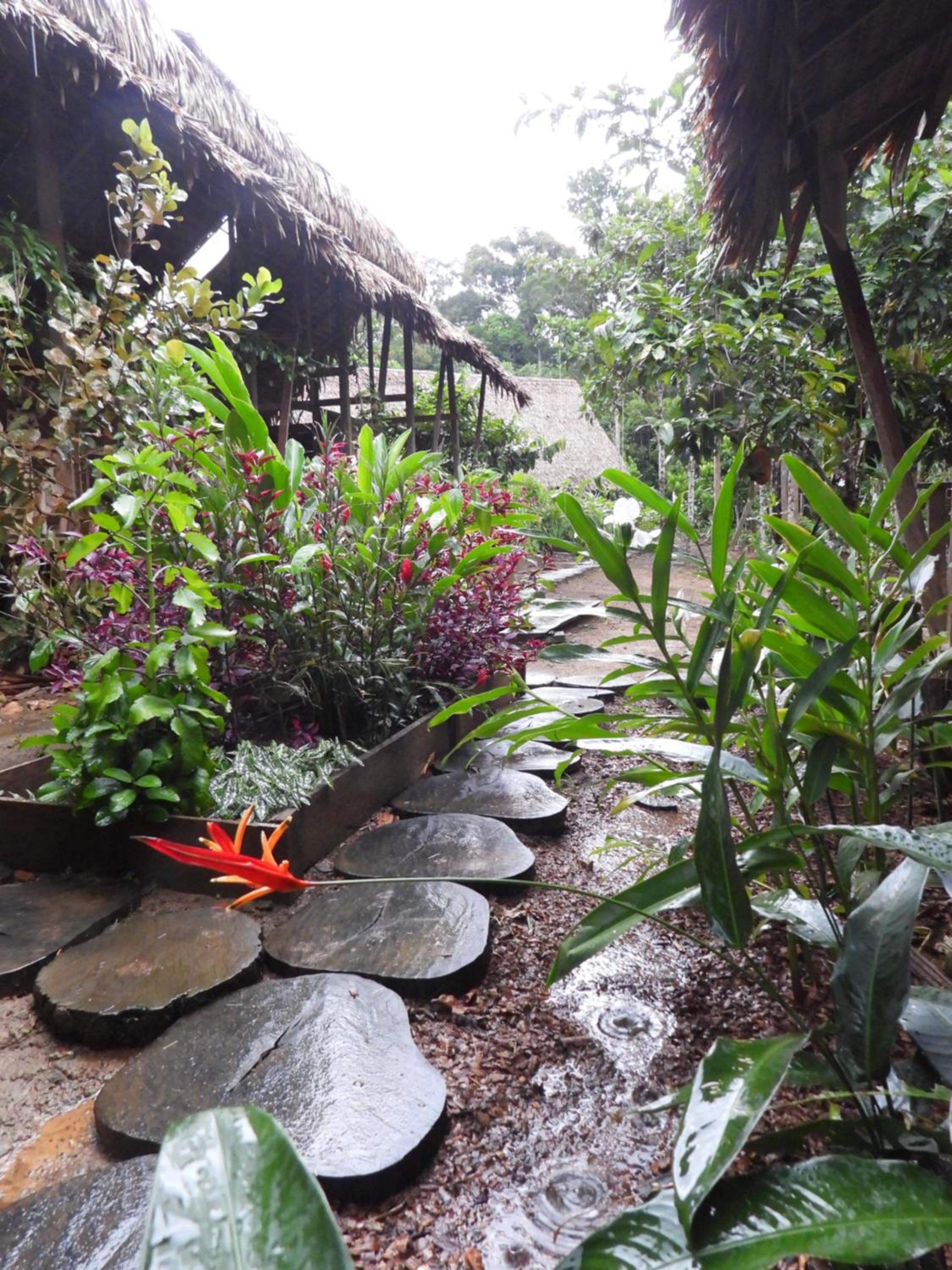 garden