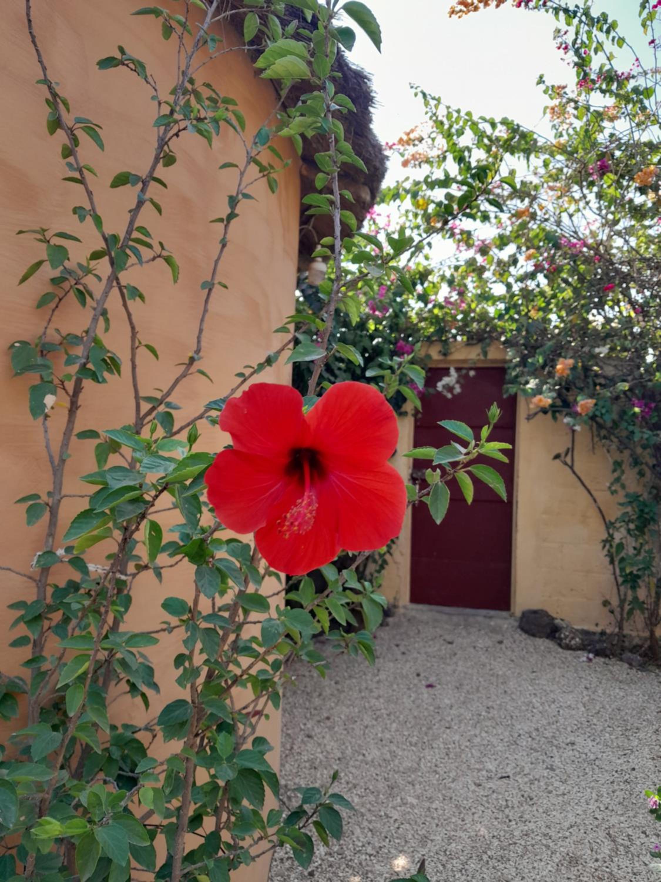 Photo 32