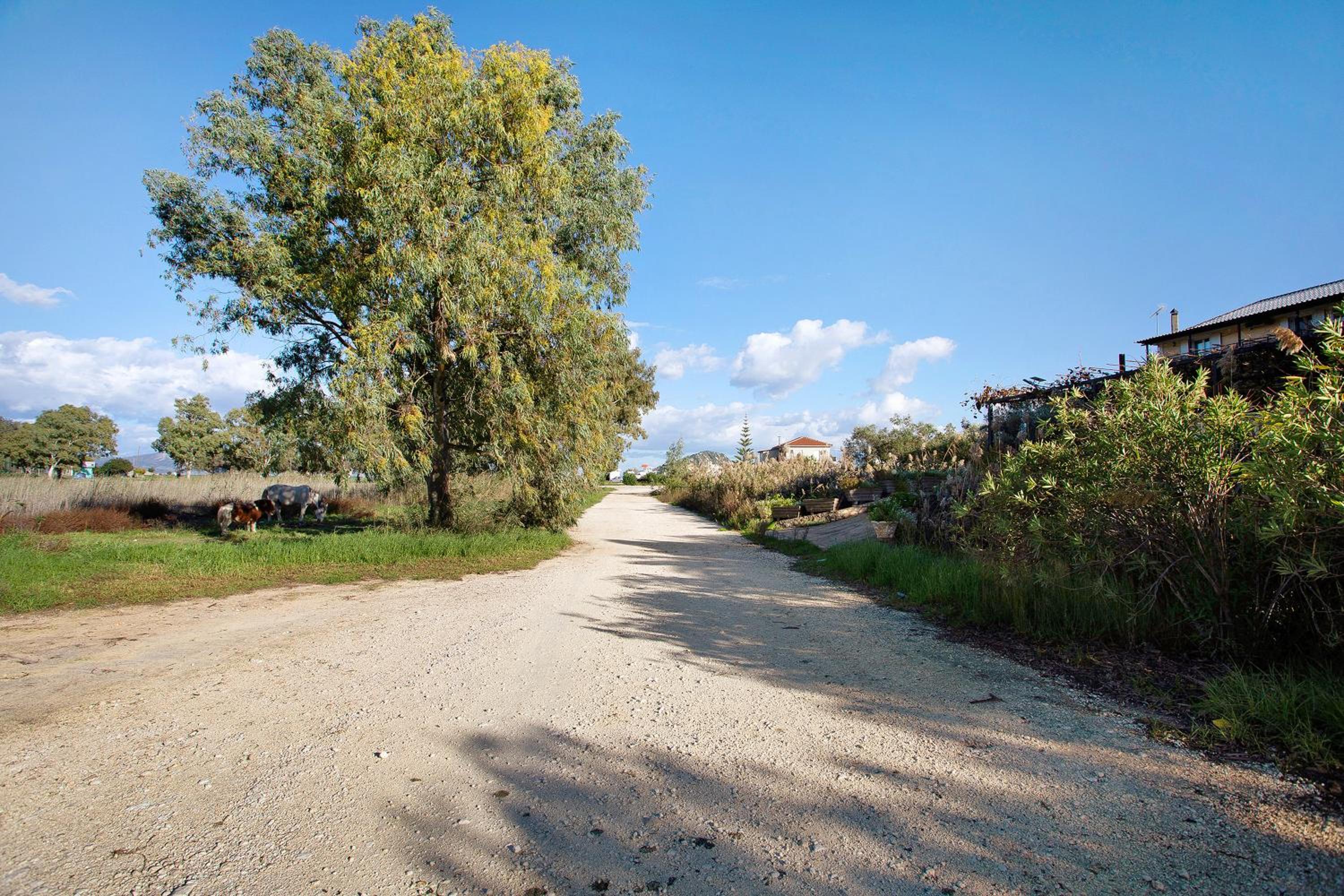 Dolphin Studio 7 photo 2