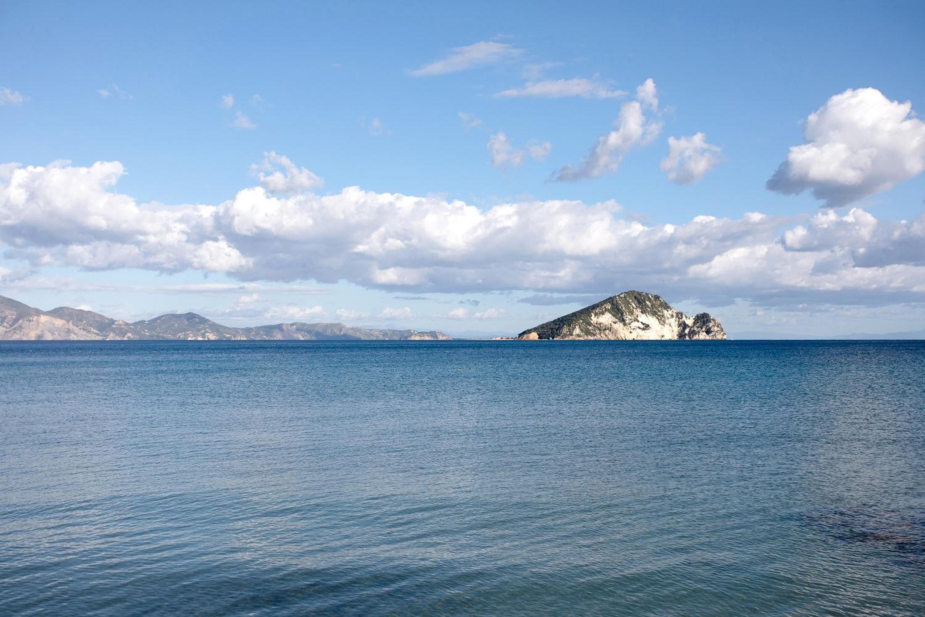 Dolphin Studio 7 photo 4