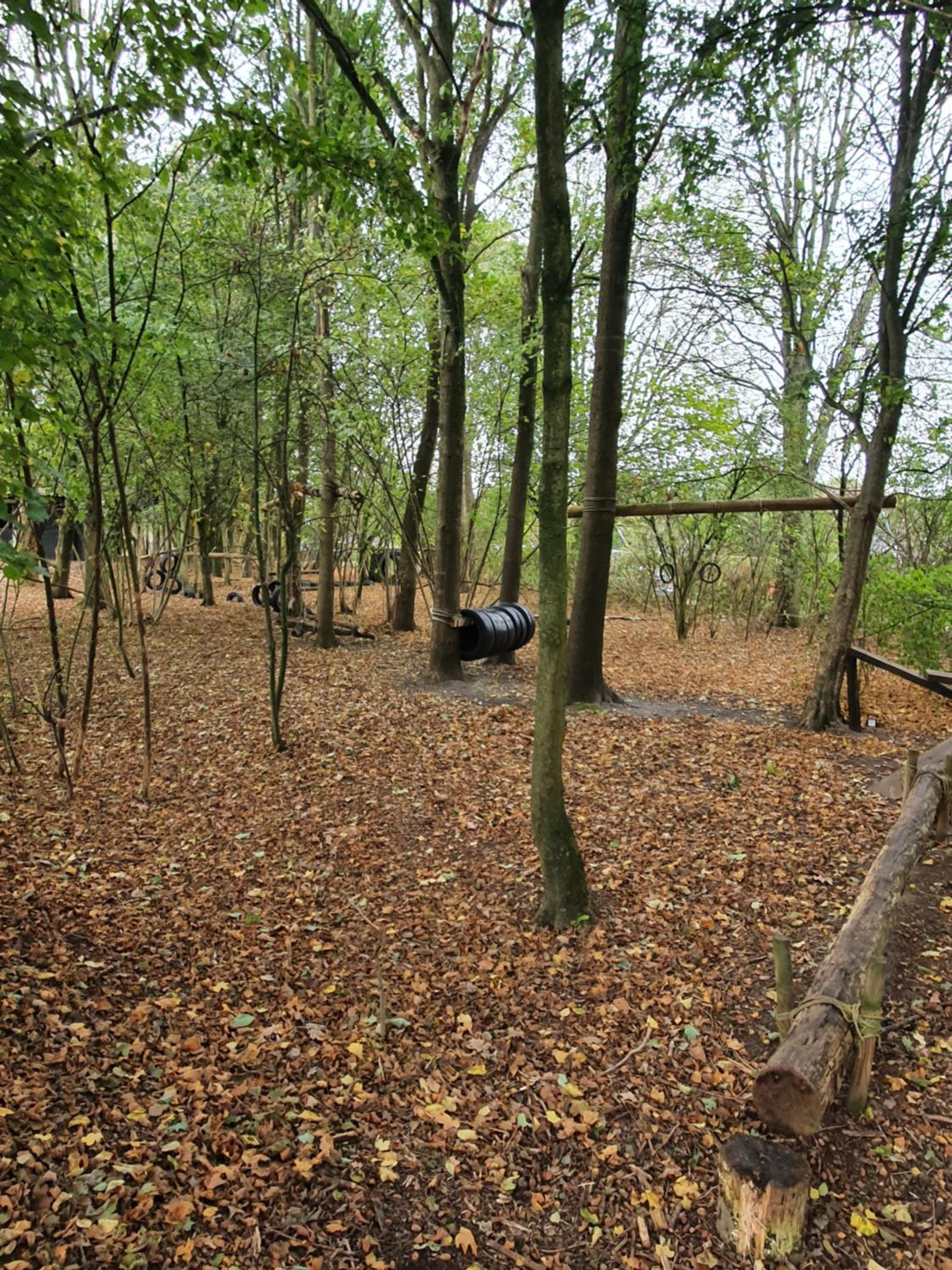 Photo 30