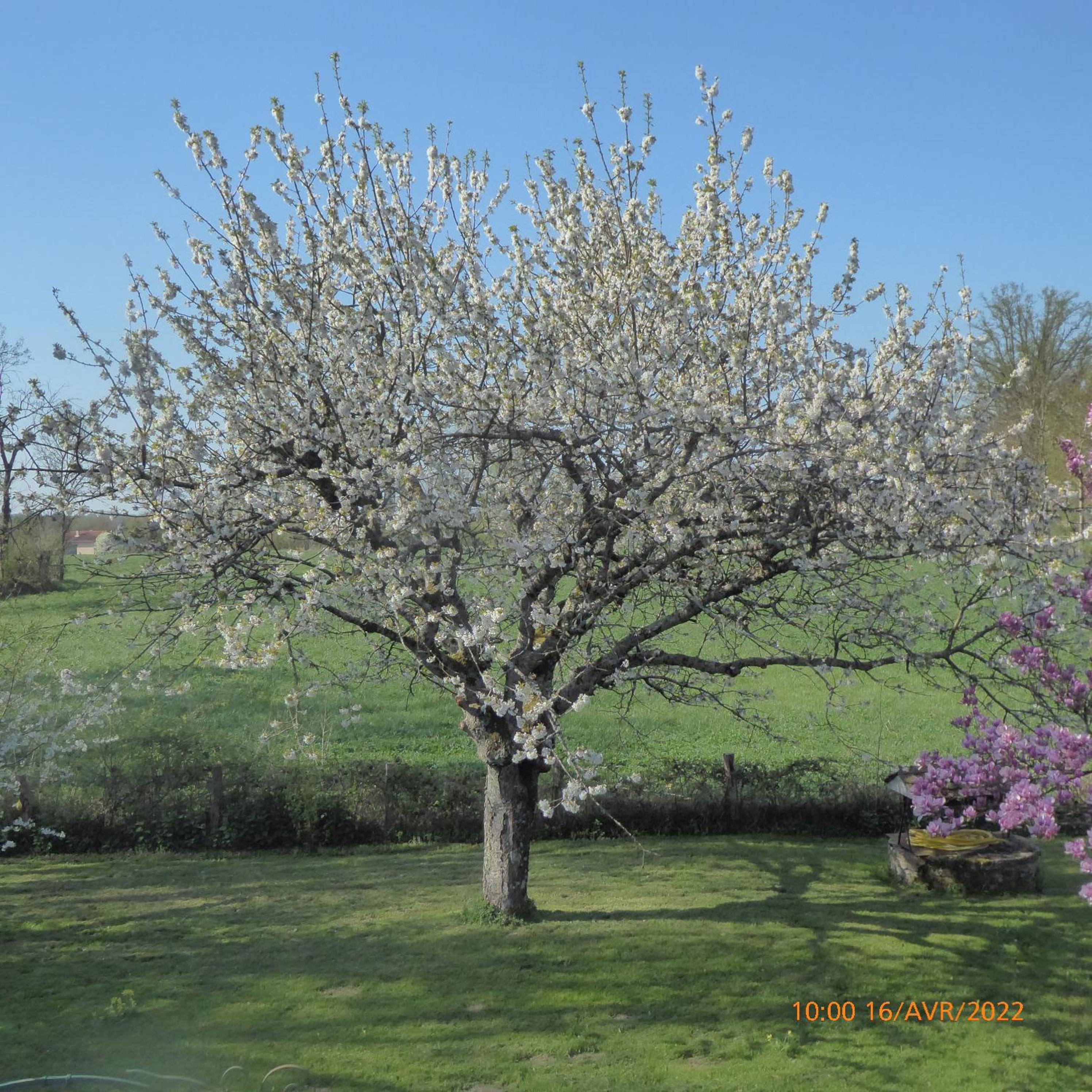 Photo 16