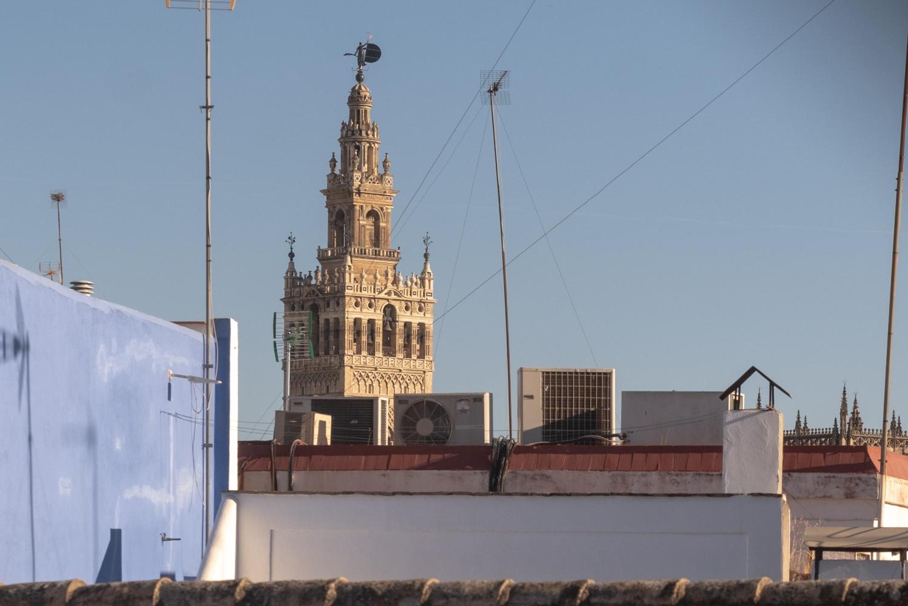 Casa Palacio Guiomar by SHS