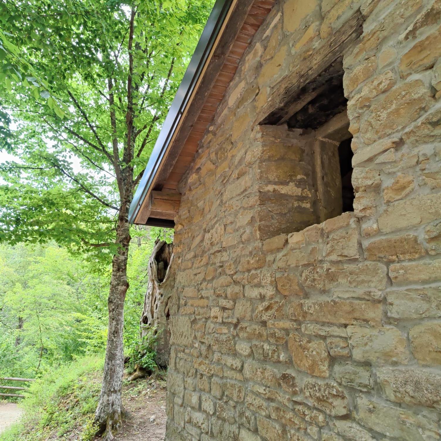 Photo 22