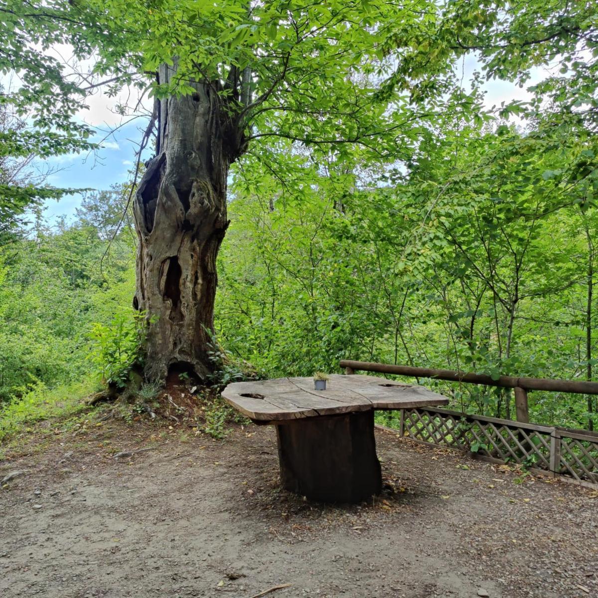 Le sorgenti - Bungalow in sasso view 2